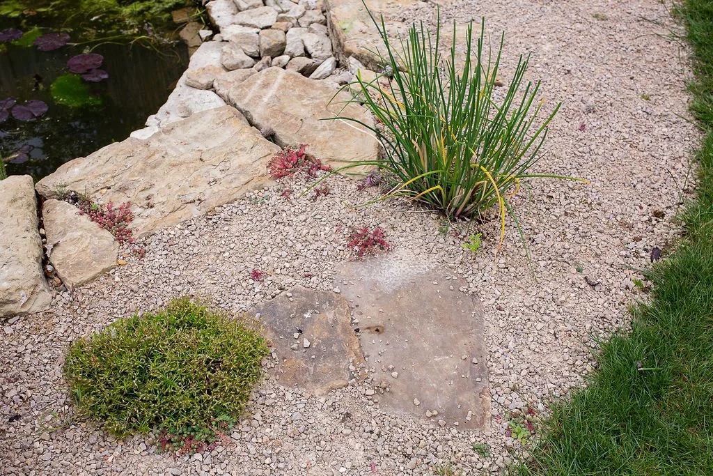 Natural Garden Banstead 023