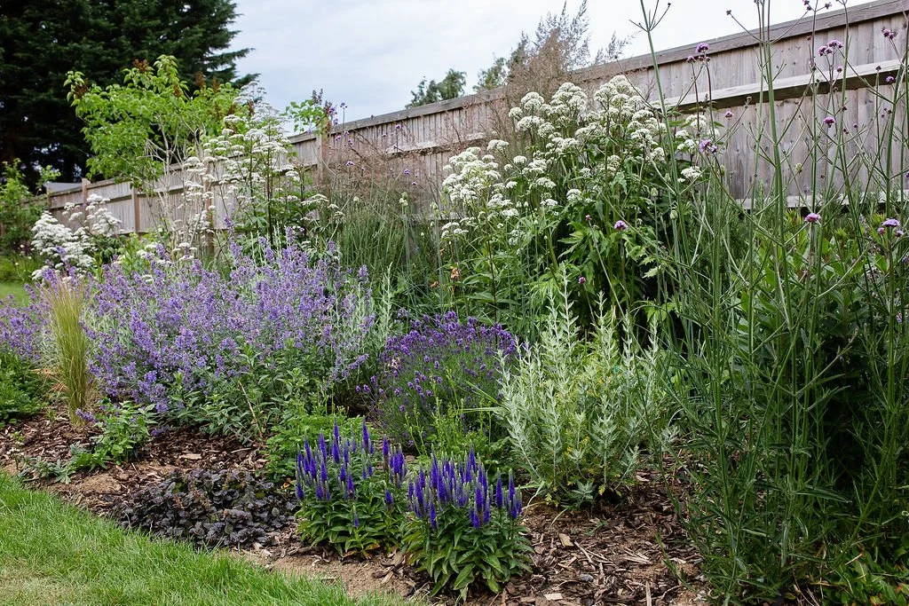 Natural Garden Banstead 014