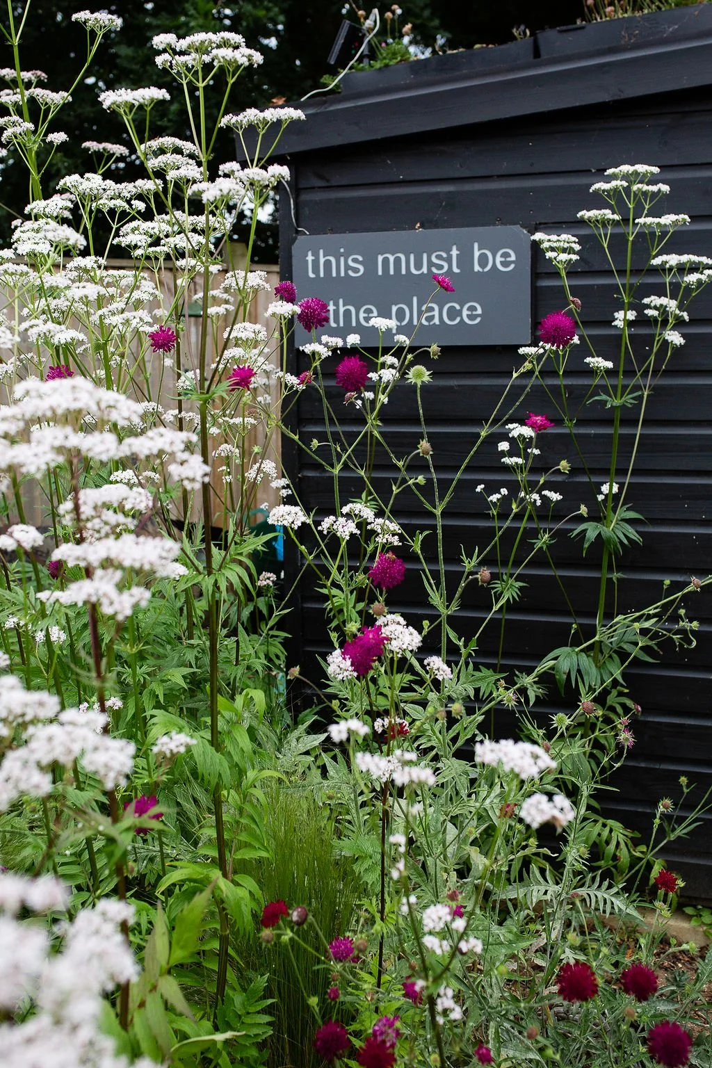 Natural Garden Banstead 015