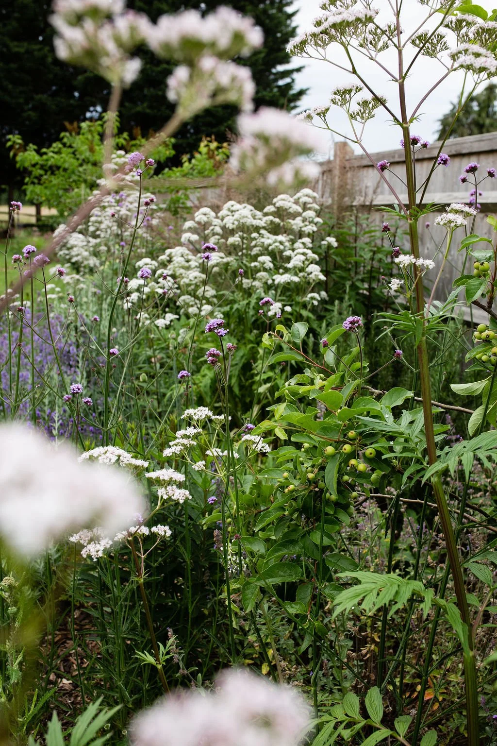 Natural Garden Banstead 020