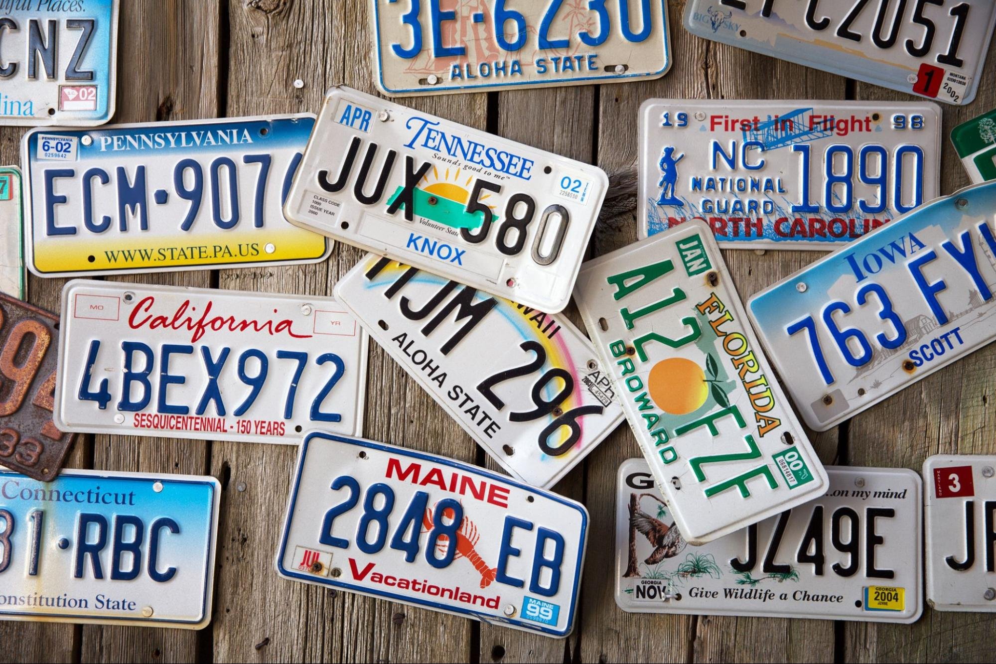 What License Plates Say