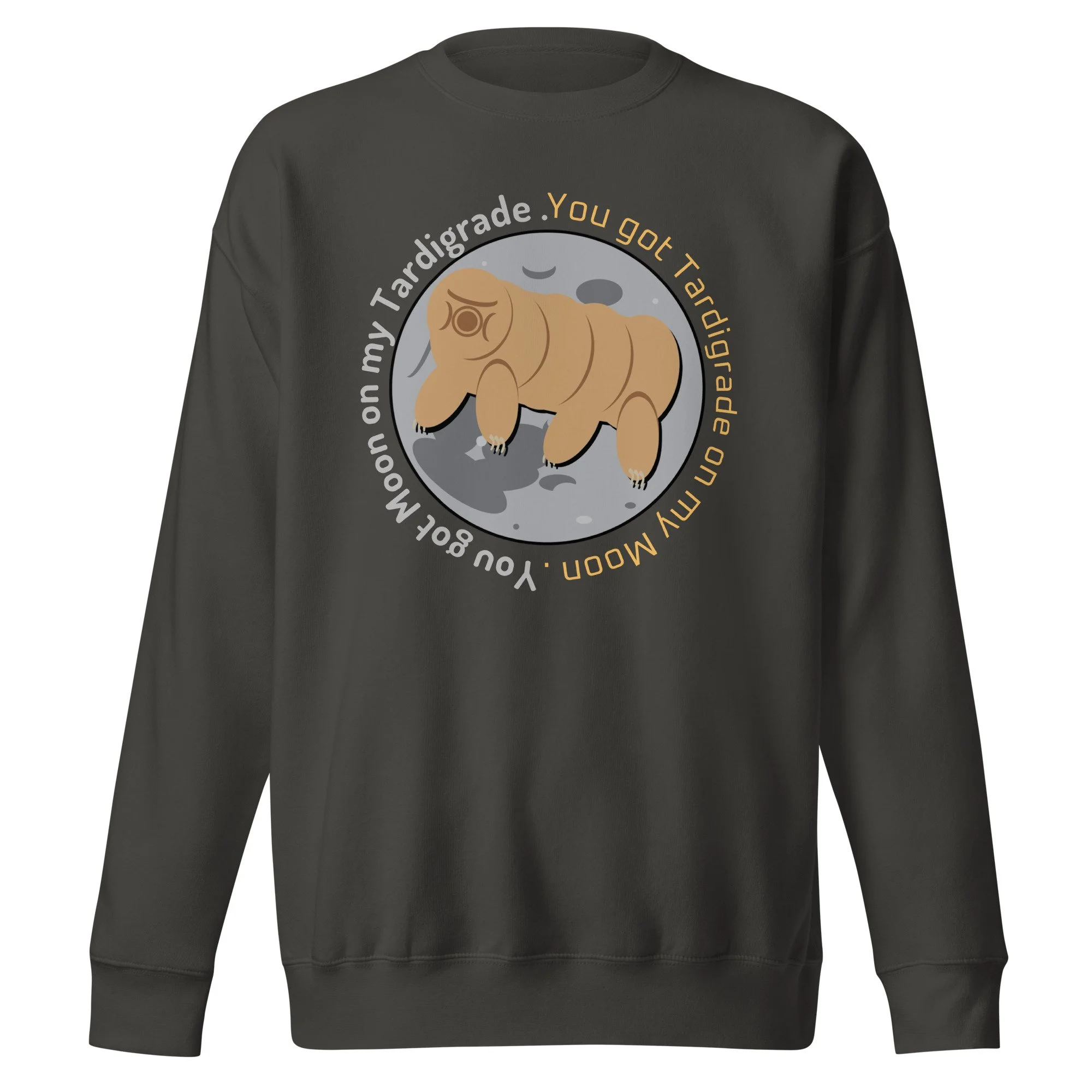 unisex-premium-sweatshirt-vintage-black-front-6929c1cb23520.jpg