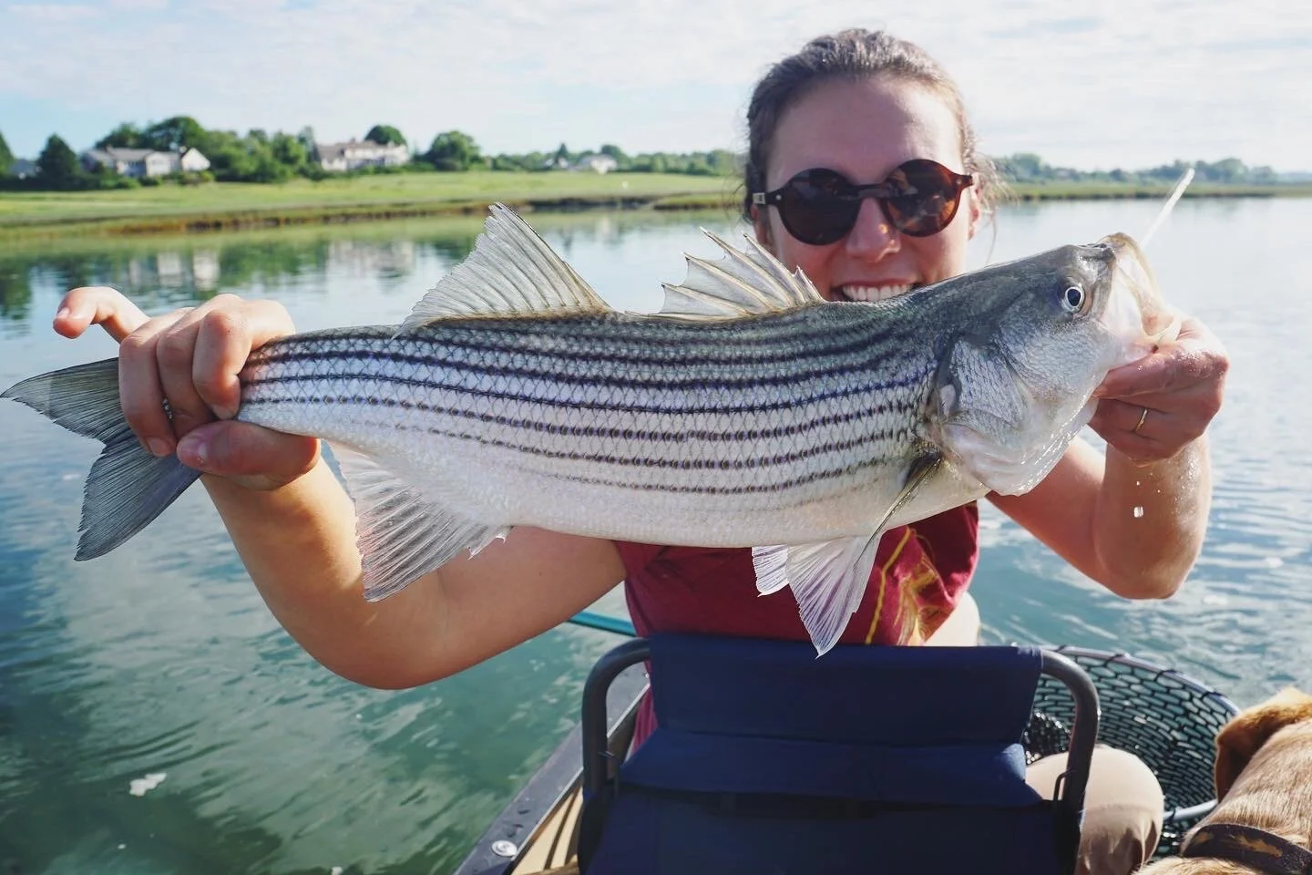 Make Some Use of Your Discomfort