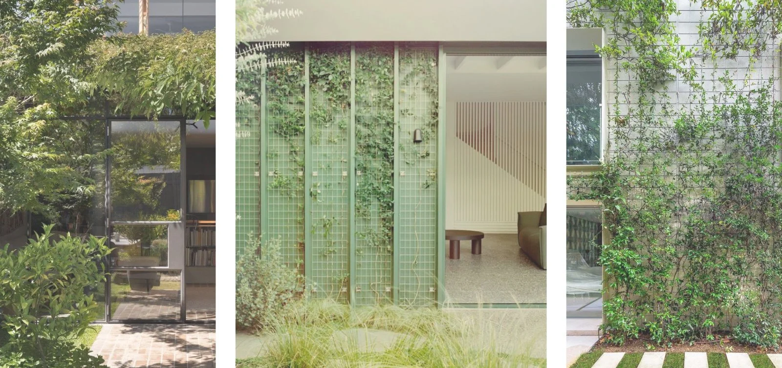 Precedent images of planted structure, growing walls and green walls used to embed the new extension in the rear garden setting.