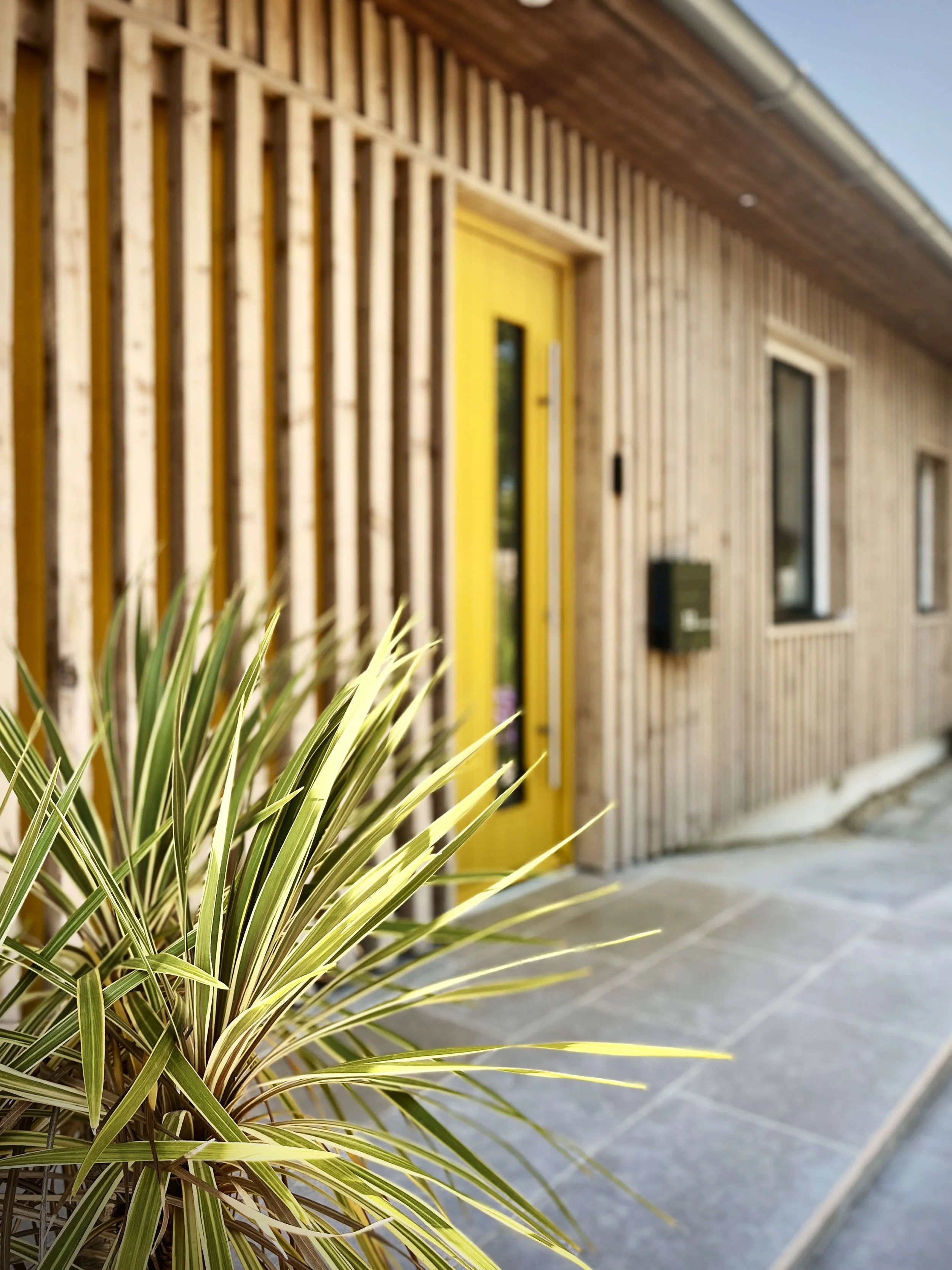 Placing planting back in focus when reimagining the front garden to this bungalow near Bradford-on-Avon