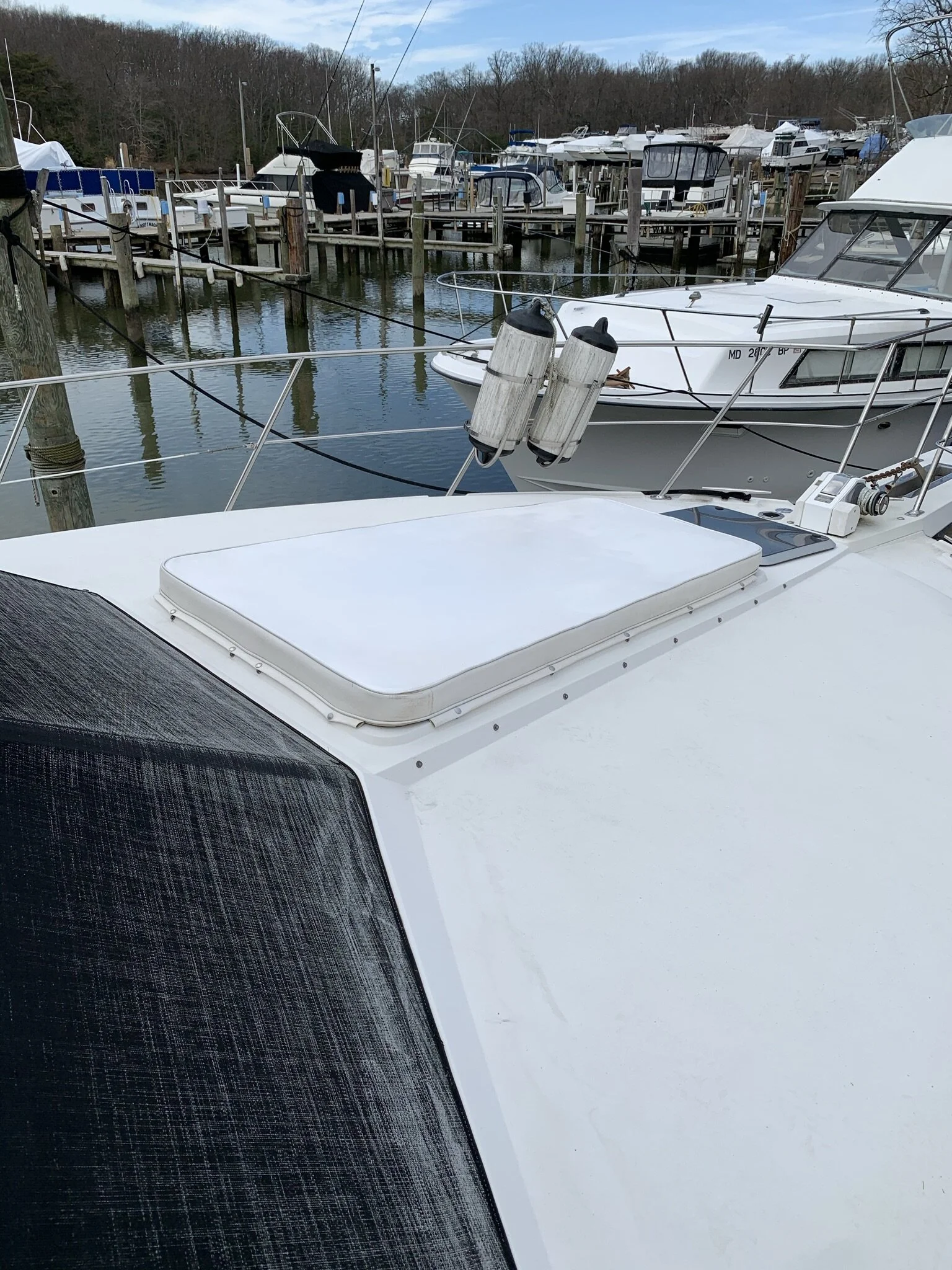 IMG_2905.JPEG