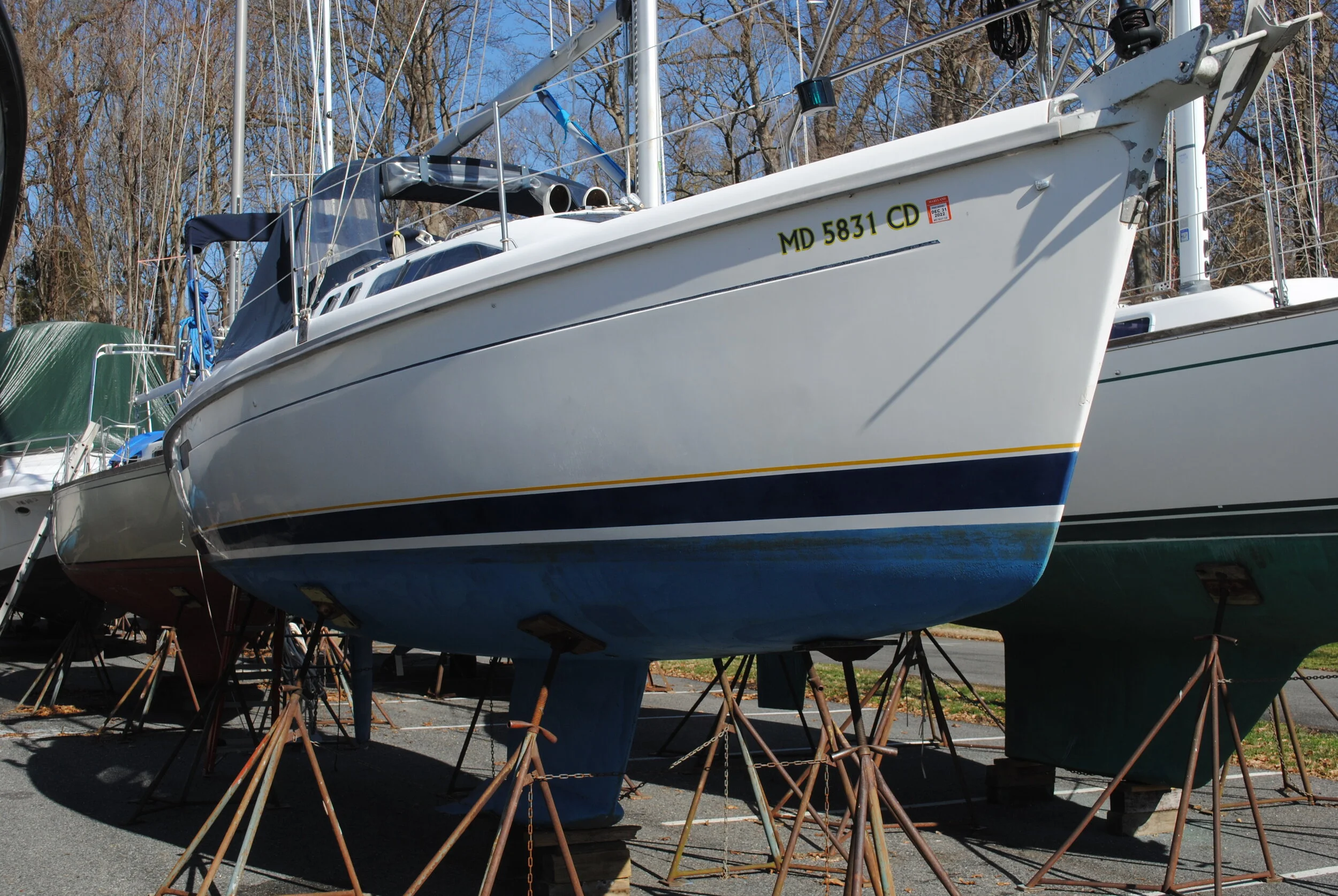 DSC_0239.JPG