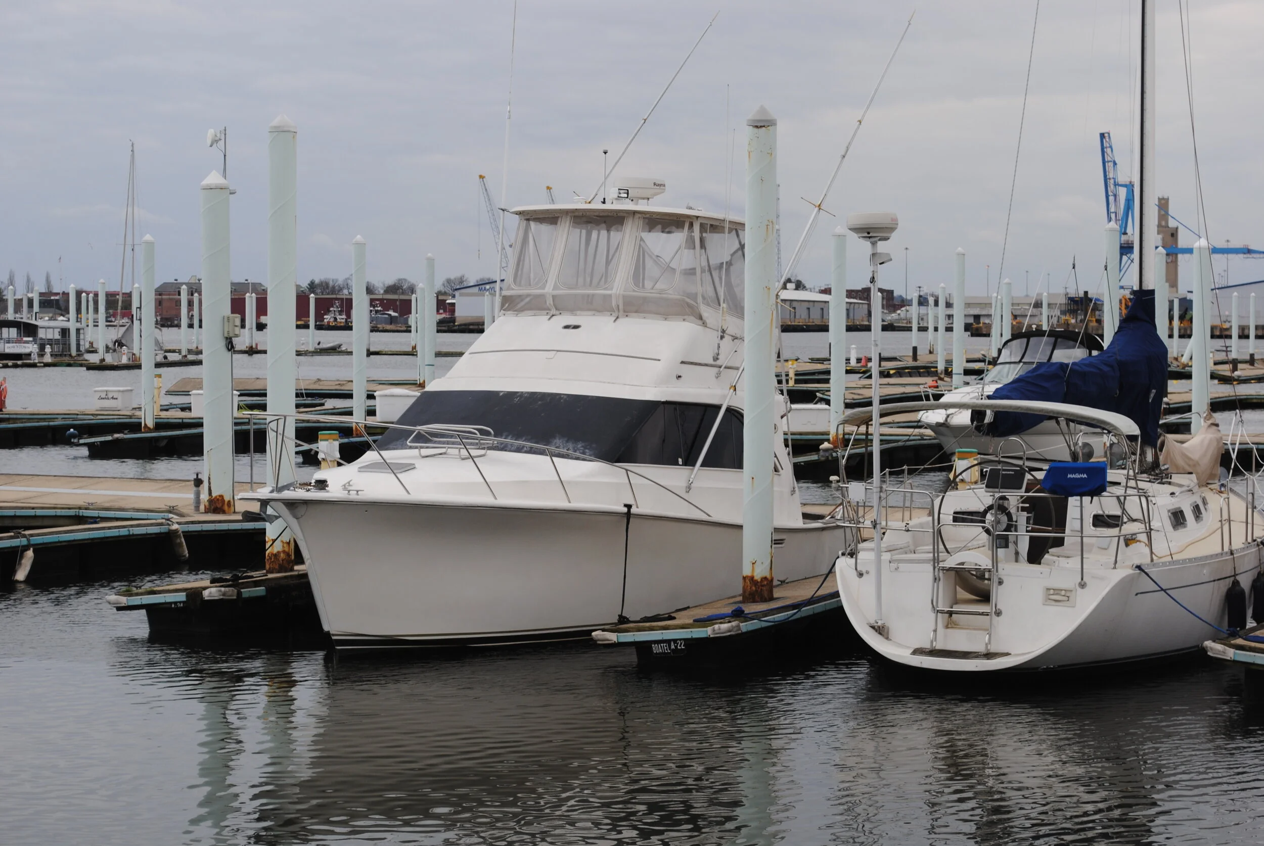 DSC_0307.JPG