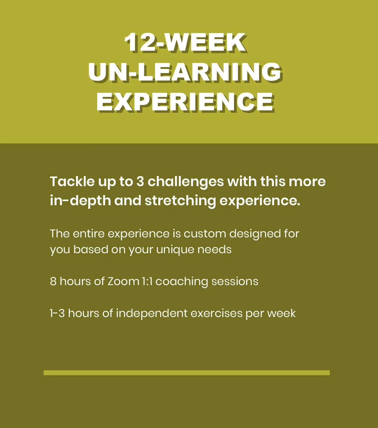 WhatWeDoOfferings_ColorBlocks_ProductPic_12Wk.jpg
