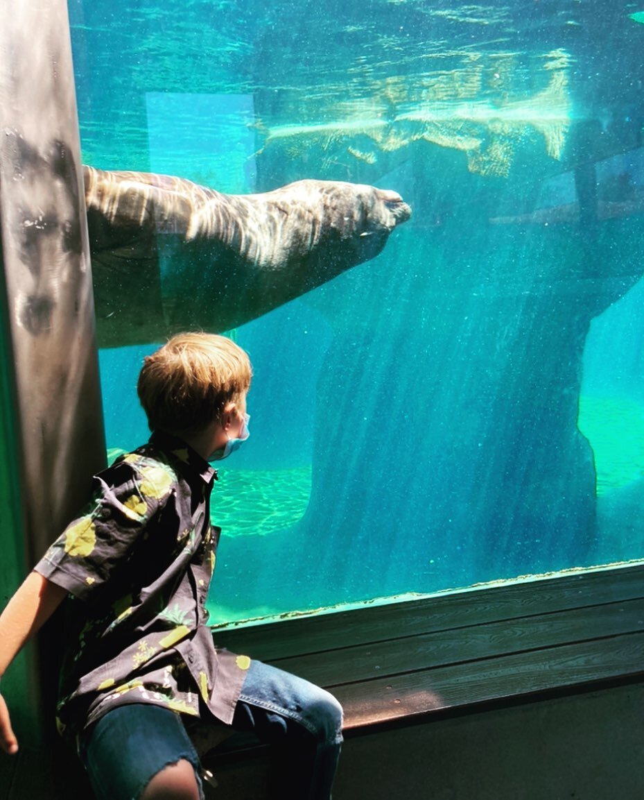 Had the most excellent day hanging with my nephew Andrew for his B-day! @imagine.dream.do