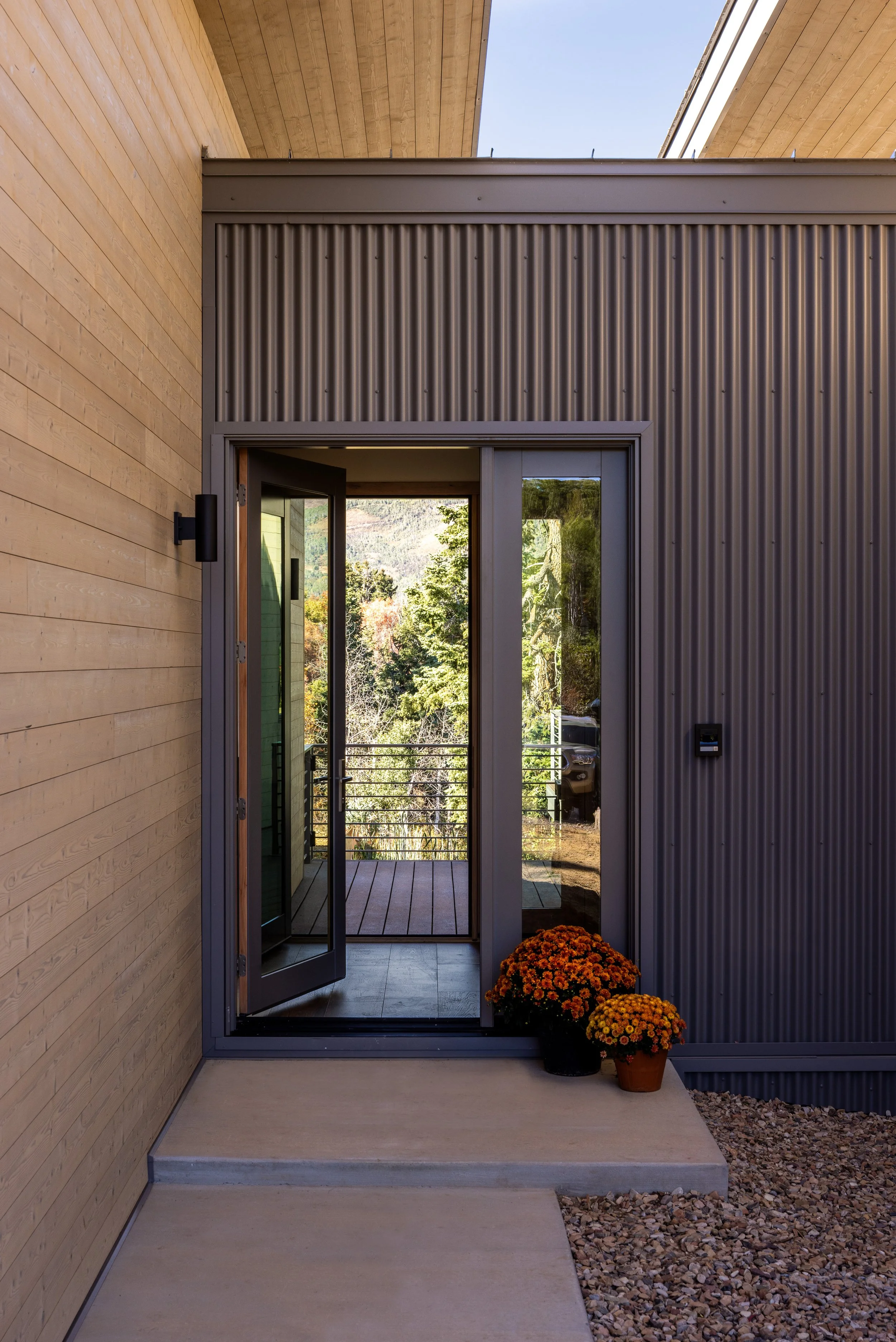 20250916 Forest Meadow -2.jpg