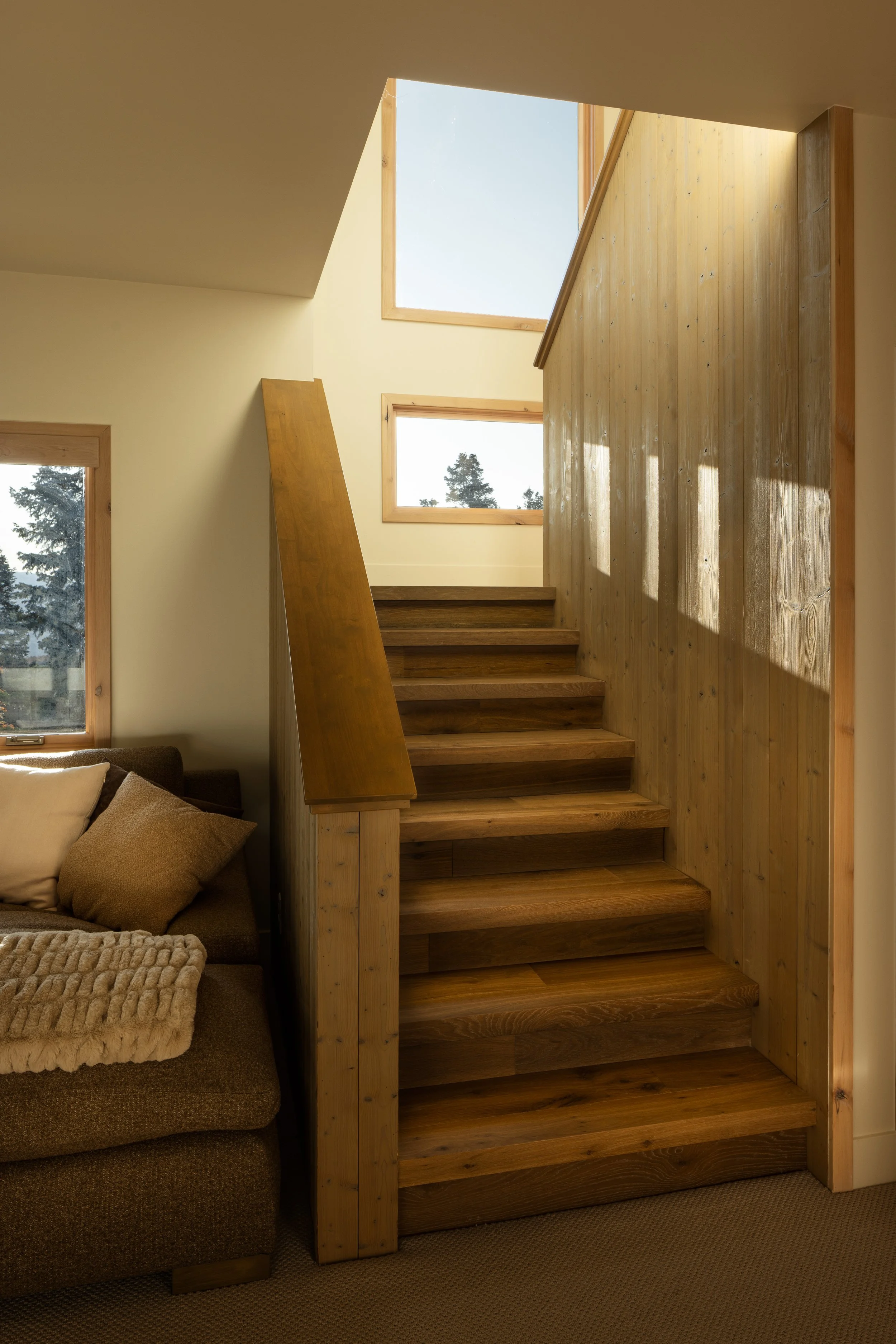 20250916 Forest Meadow -29.jpg