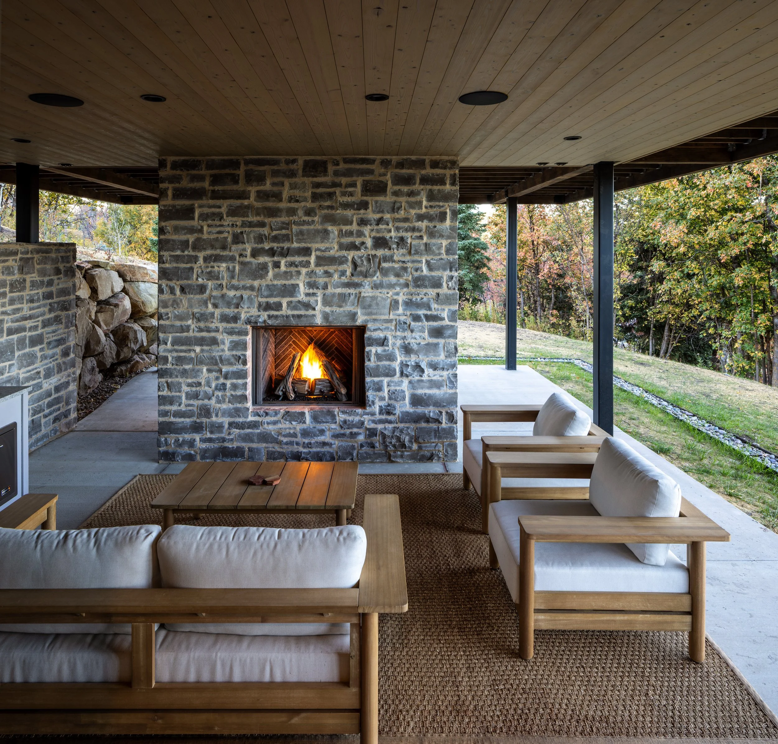 20250916 Forest Meadow -7.jpg