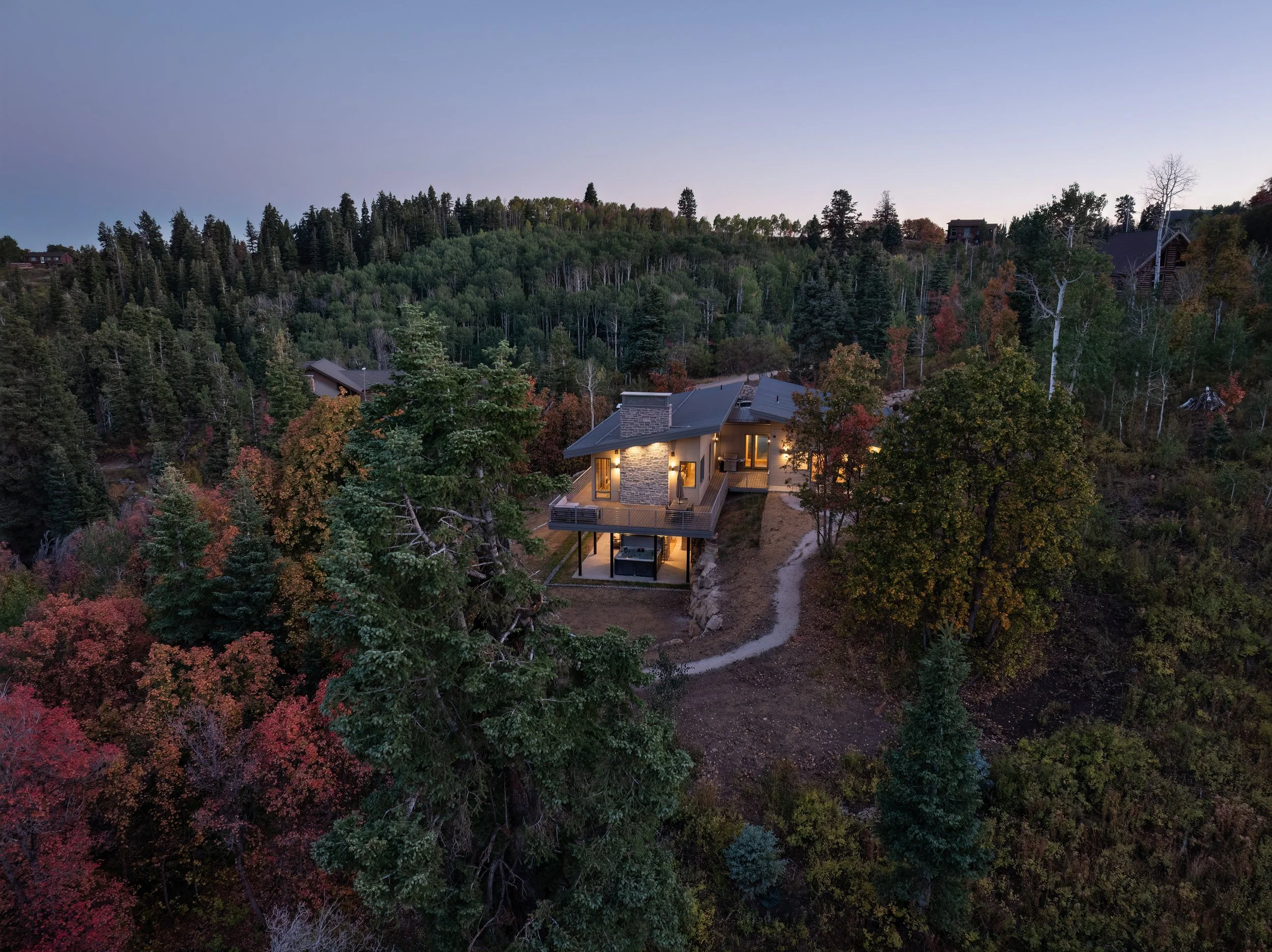 20250916 Forest Meadow -22.jpg