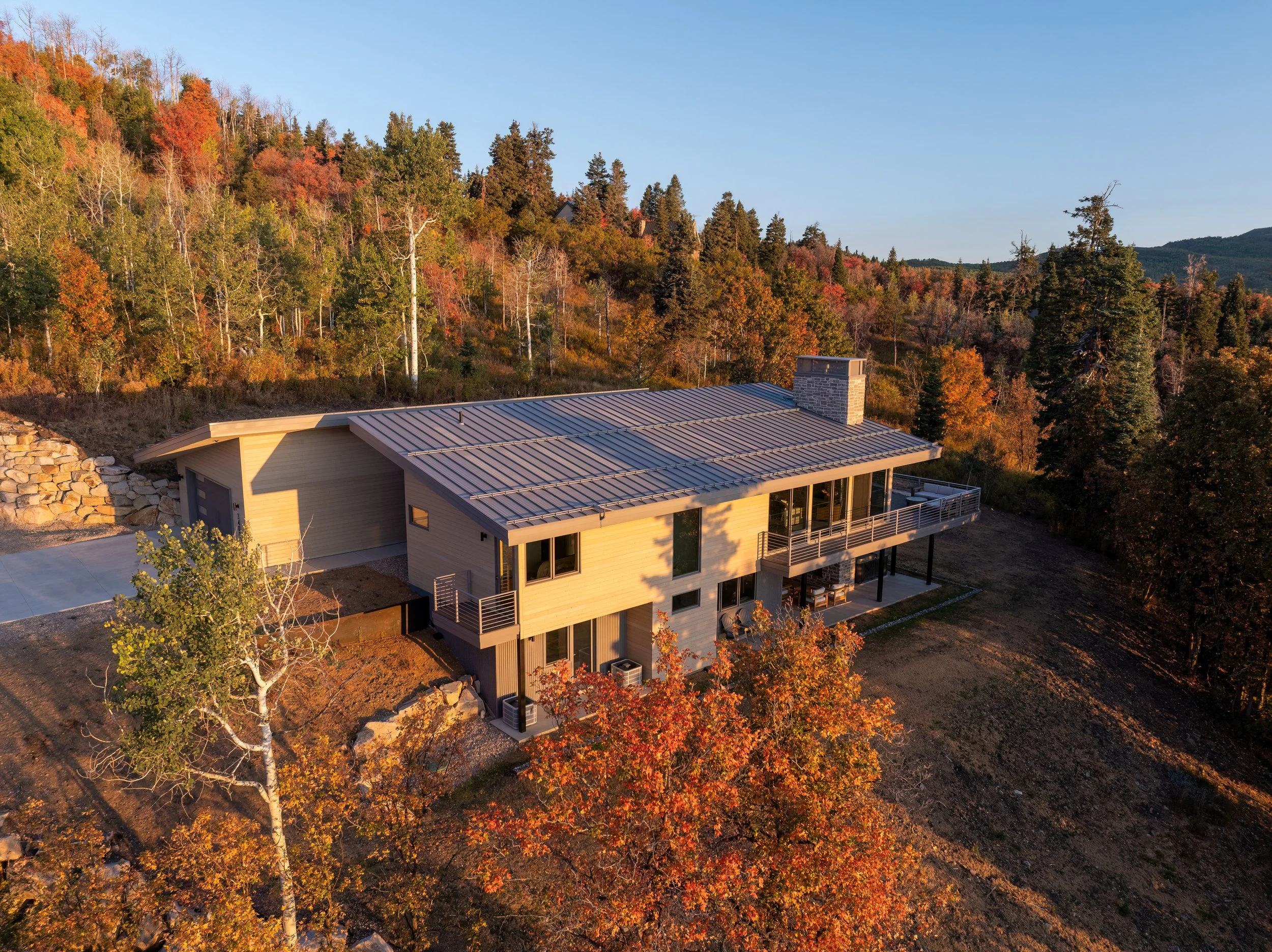 20250916 Forest Meadow -23.jpg