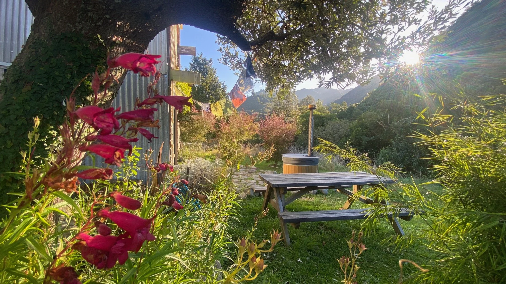 Cabin courtyard