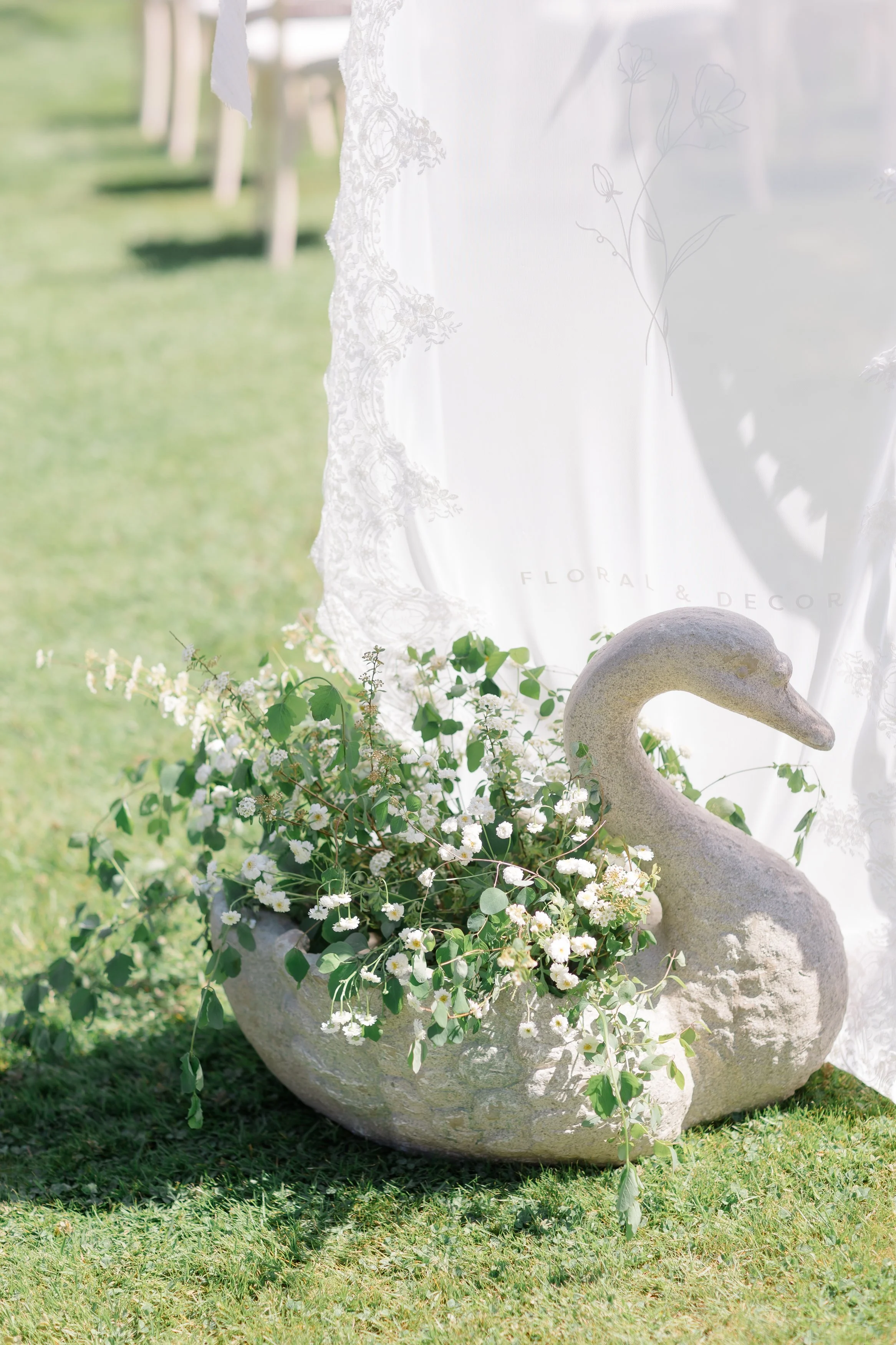 Fleur Swan