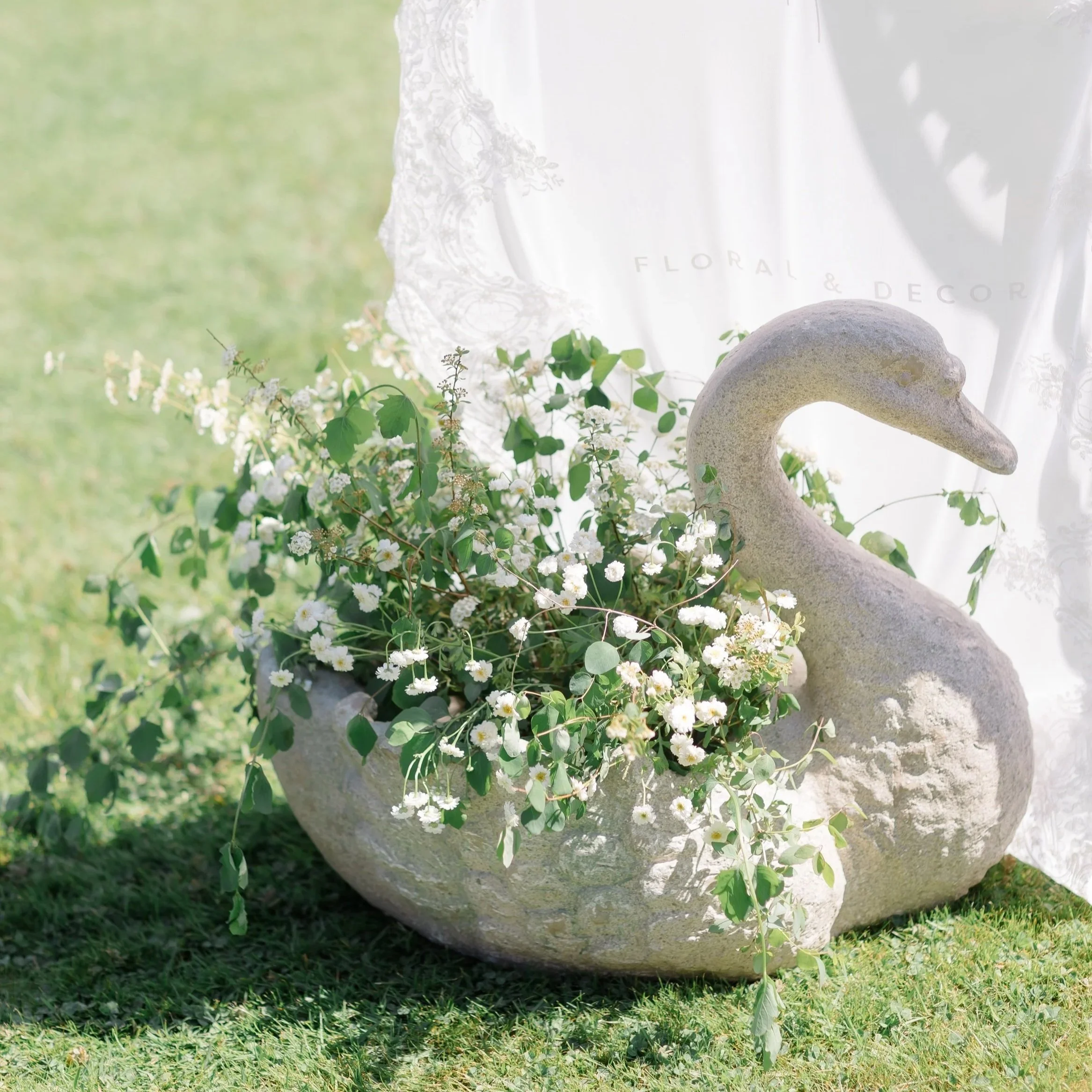 Fleur Swan