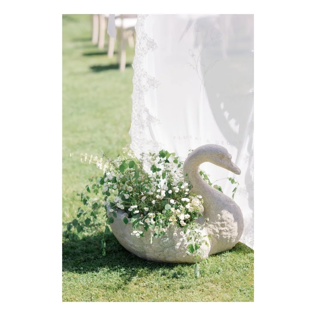 fleur swan.jpg