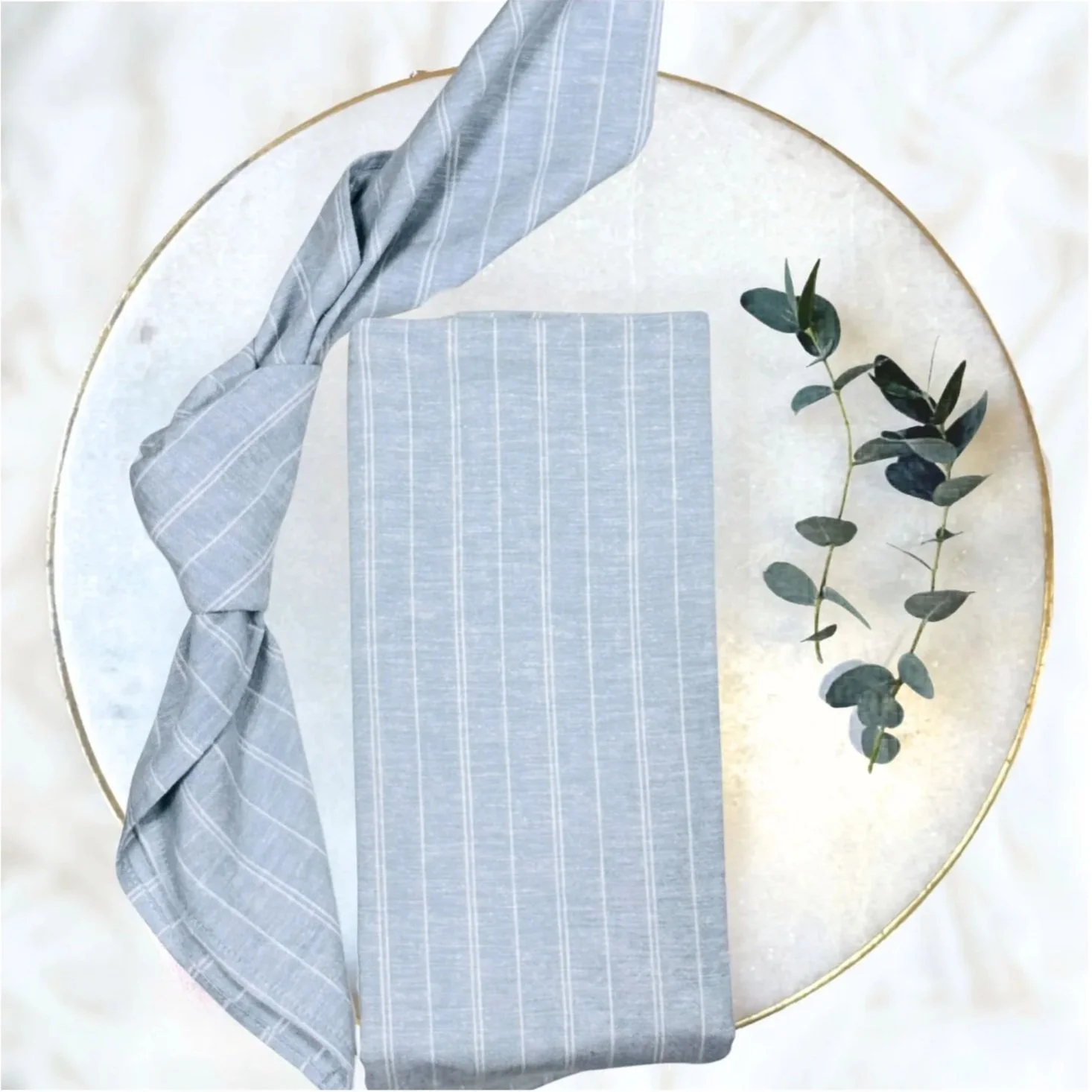 Hudson Blue Striped Napkins  (set of 10)