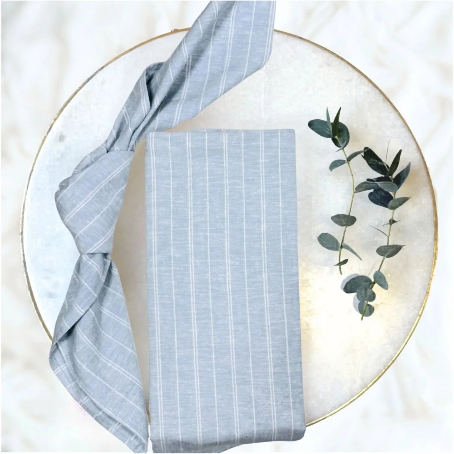 Hudson Blue Striped Napkins  (set of 10)
