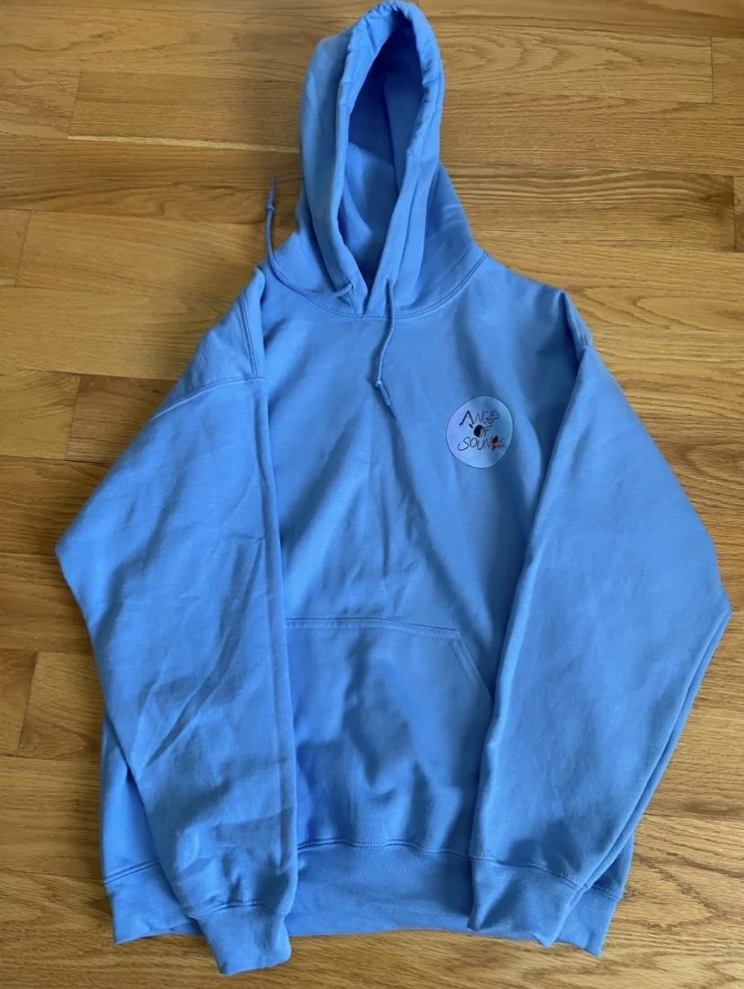 Angle of Sound Hoodie