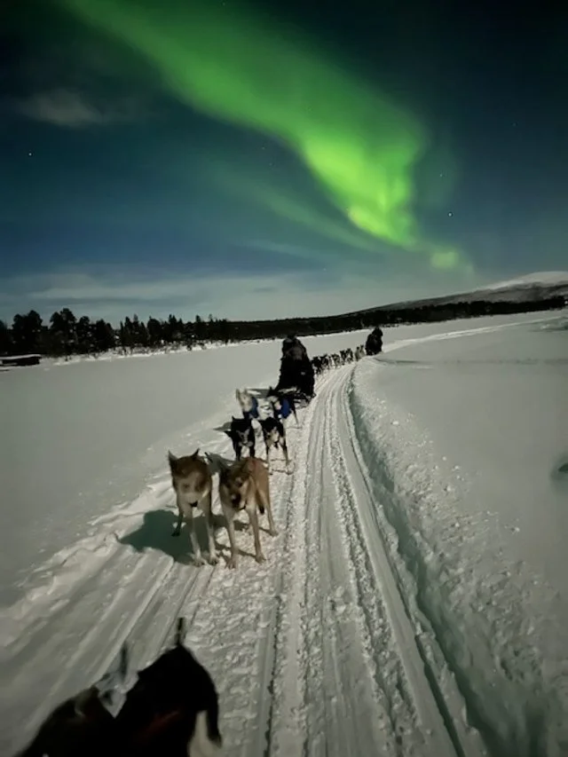 A dog sled team traveling across a snowy landscape under the green Northern Lights in the night sky.