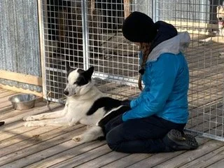 A vast snow-covered landscape with a small cluster of houses and a winding road through a forest of leafless trees, surrounded by mountains under a clear blue sky.