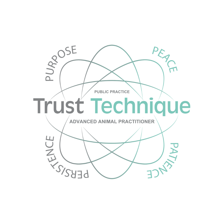 Logo of a mountain range with the text "Sustainable Arctic Destination Kiruna" underneath.
