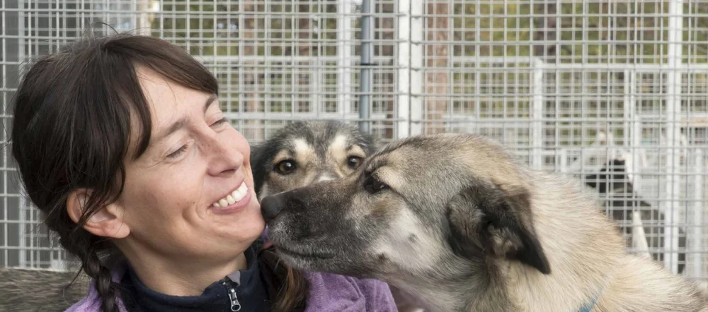 Hundcoachning — Husky Home