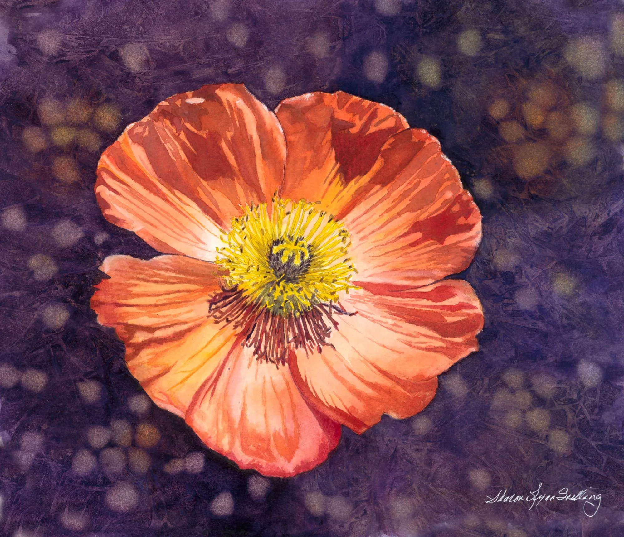 Artist Reception for Sharon Snelling