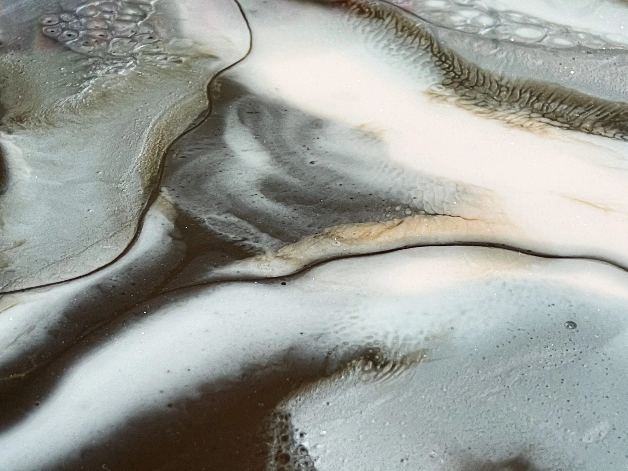 56675799-016F-481F-B561-33985F319809