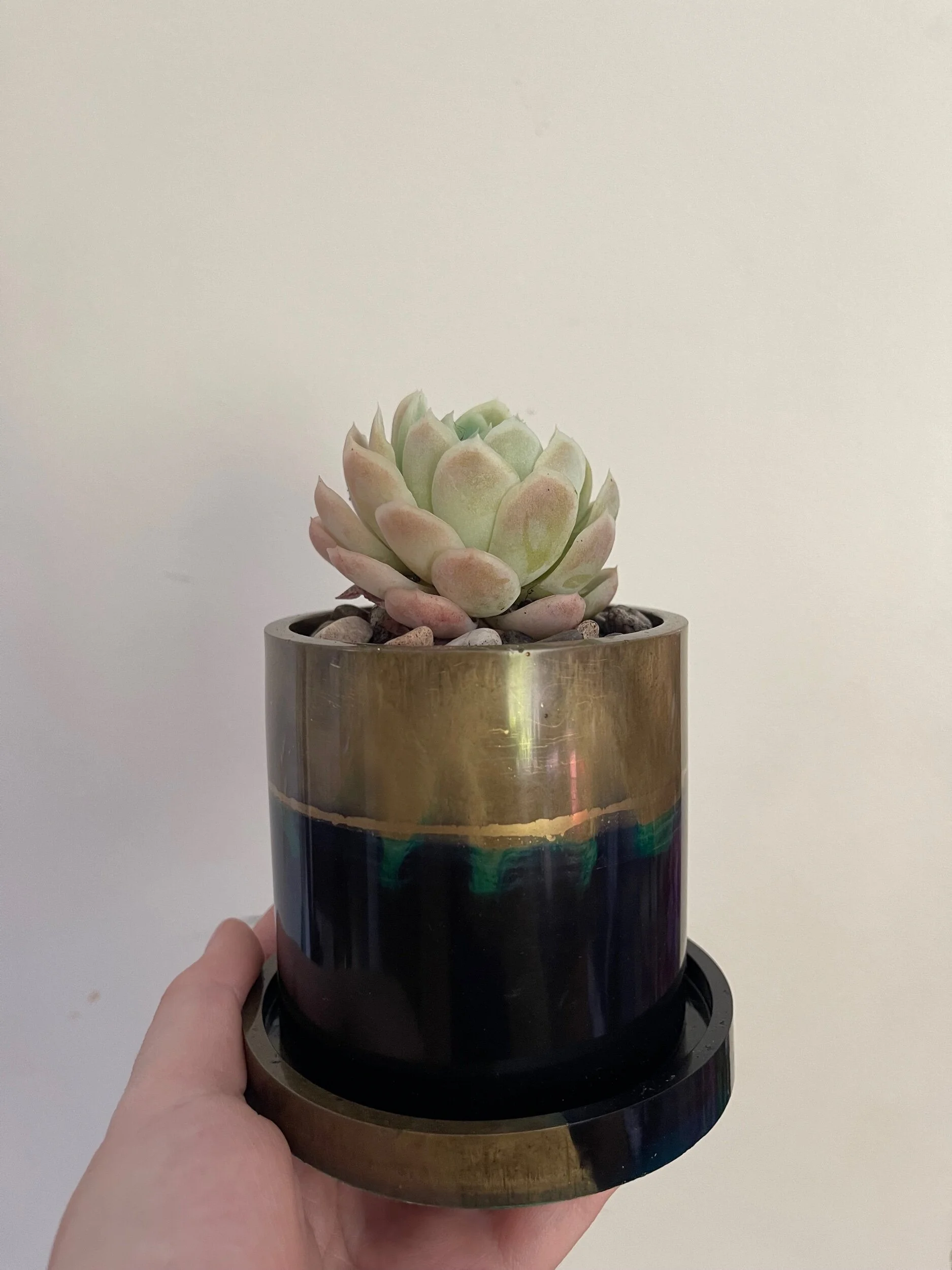 8FE10979-9663-41A4-B082-71ACCF24A503