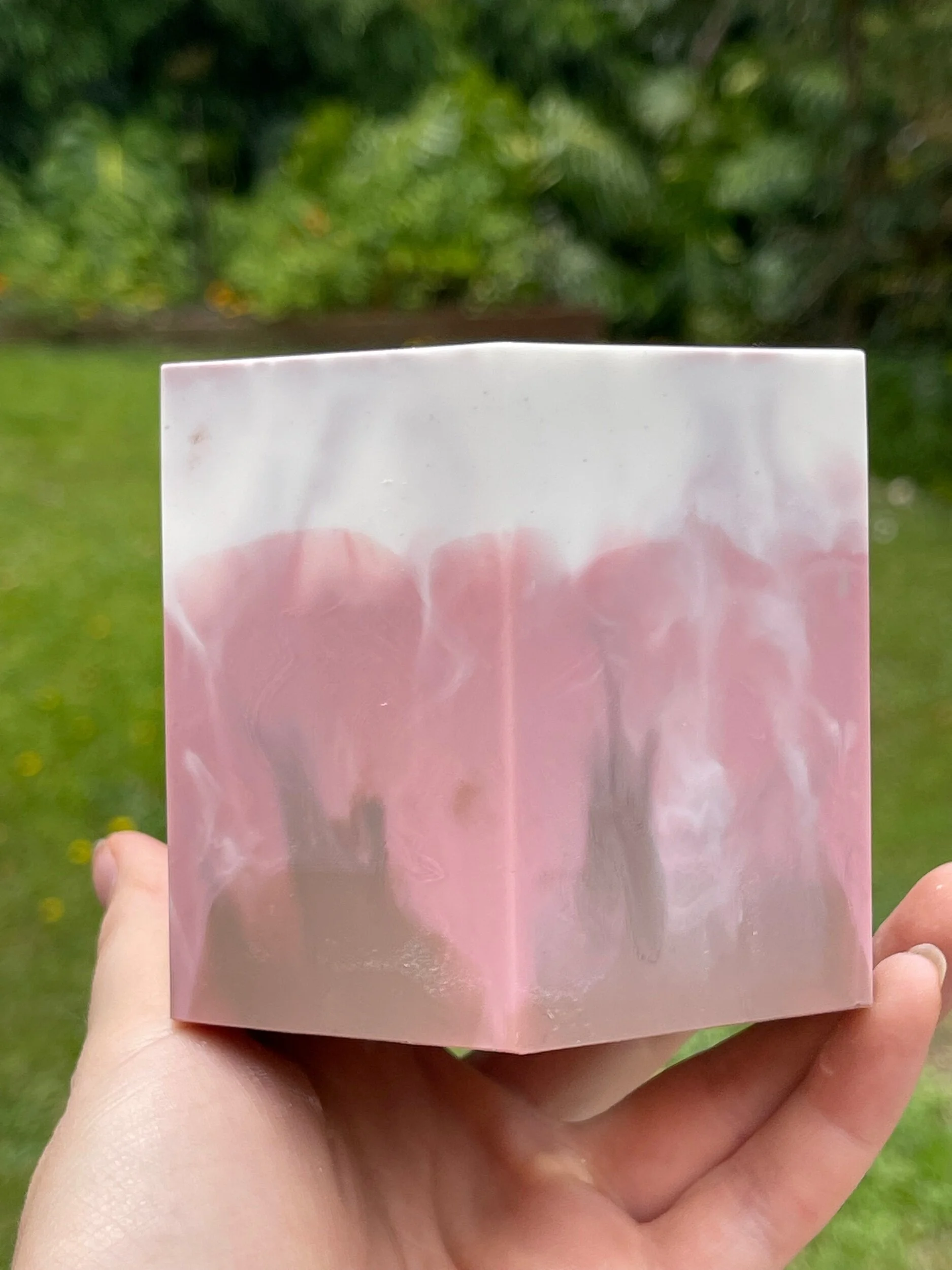 F89767FB-A8C7-4D97-A1C7-A1B95F3EADE5