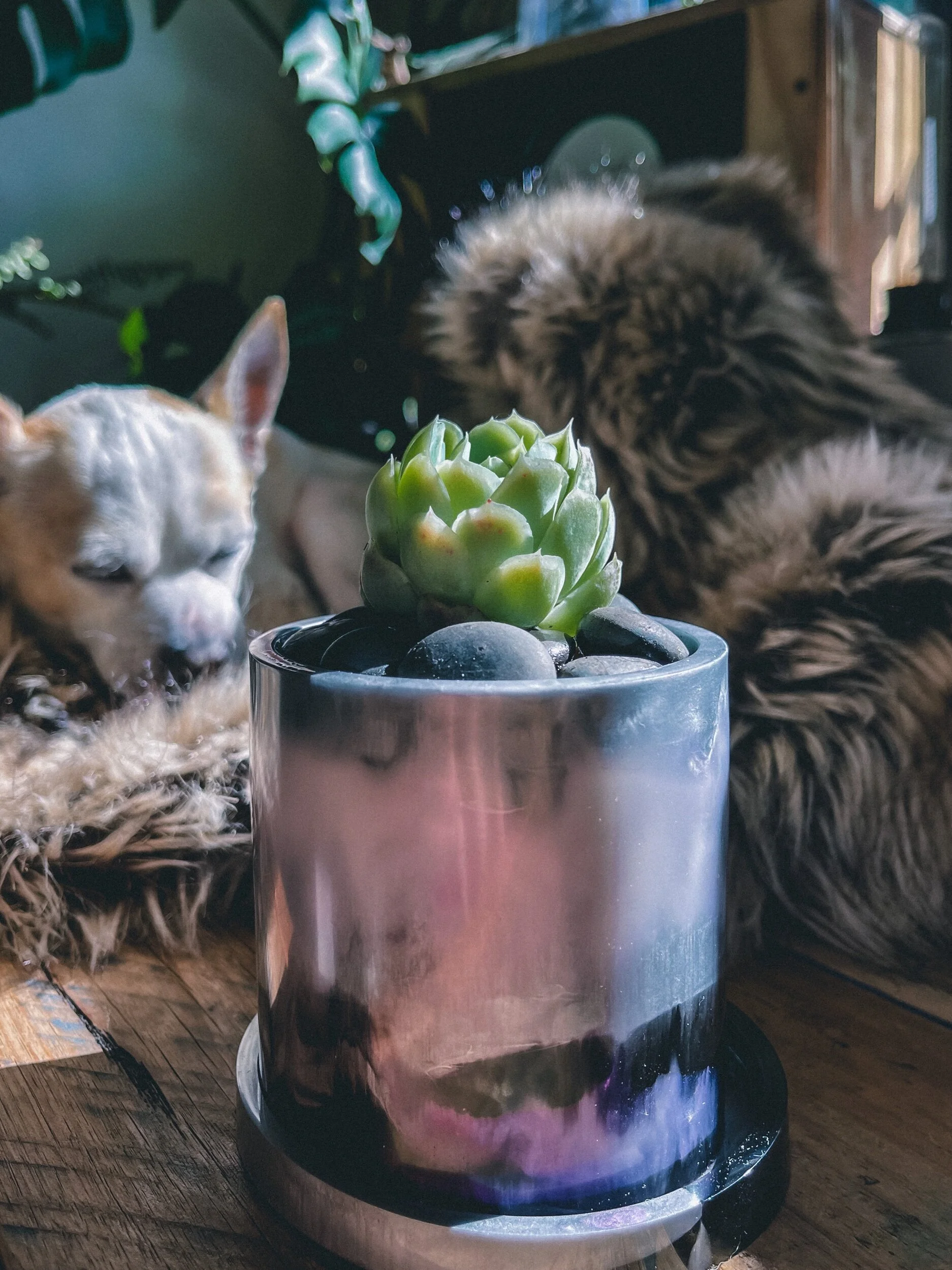 E683A4D7-6504-475C-B9D9-45B20049754B