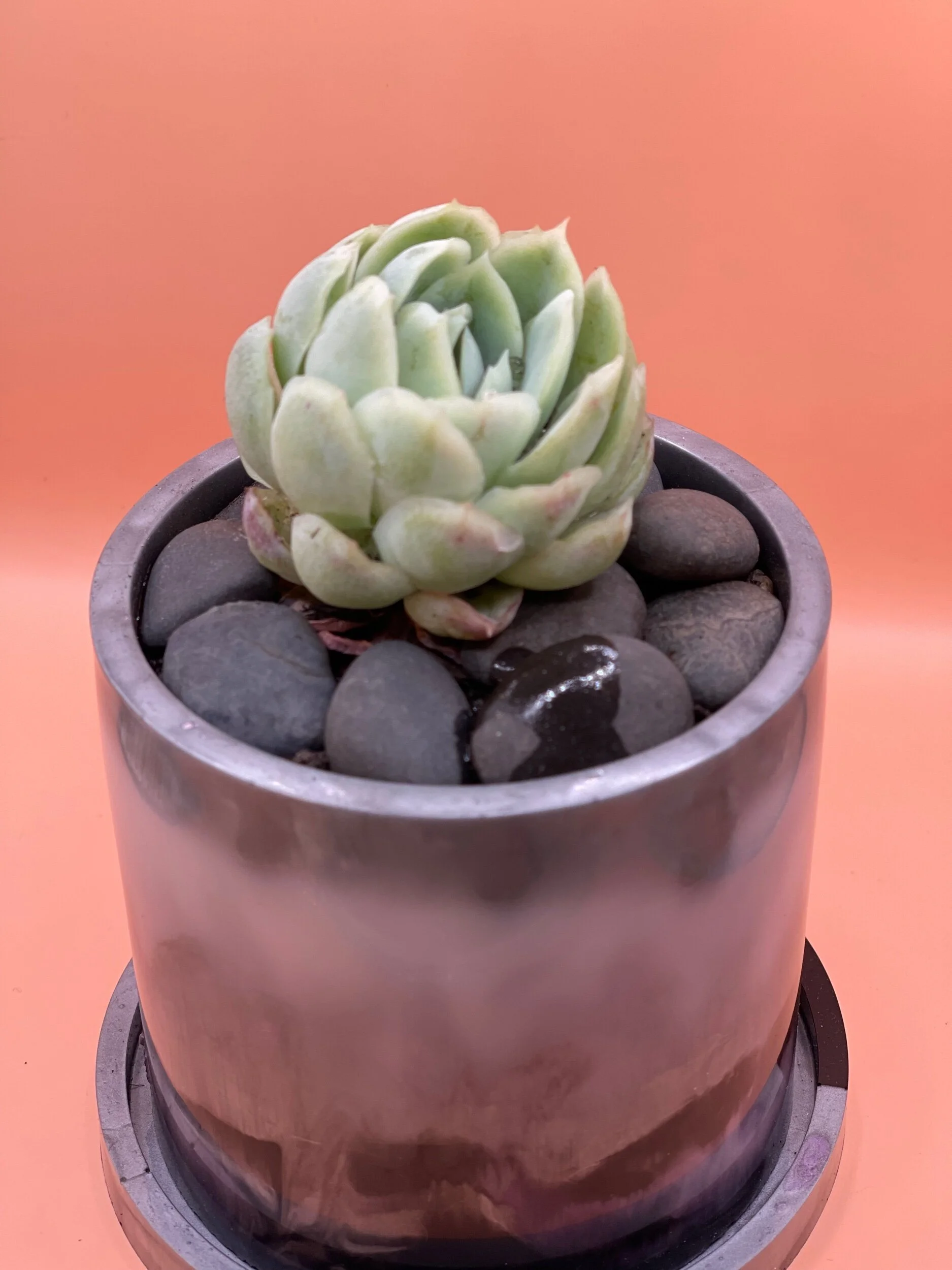 22607882-6730-4C7C-B948-FDE292380FAA