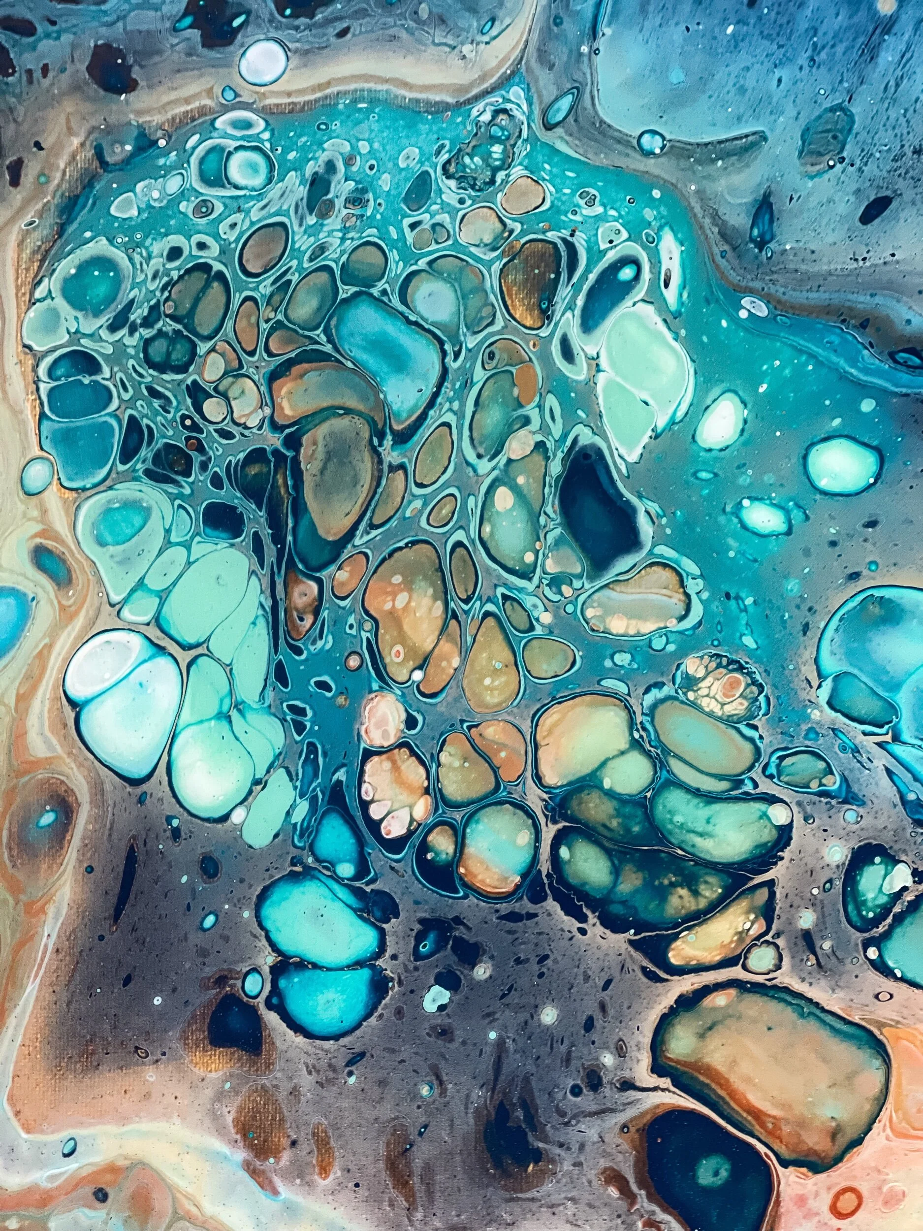 85ACF87C-A883-4184-A647-27D3DC1C40AC