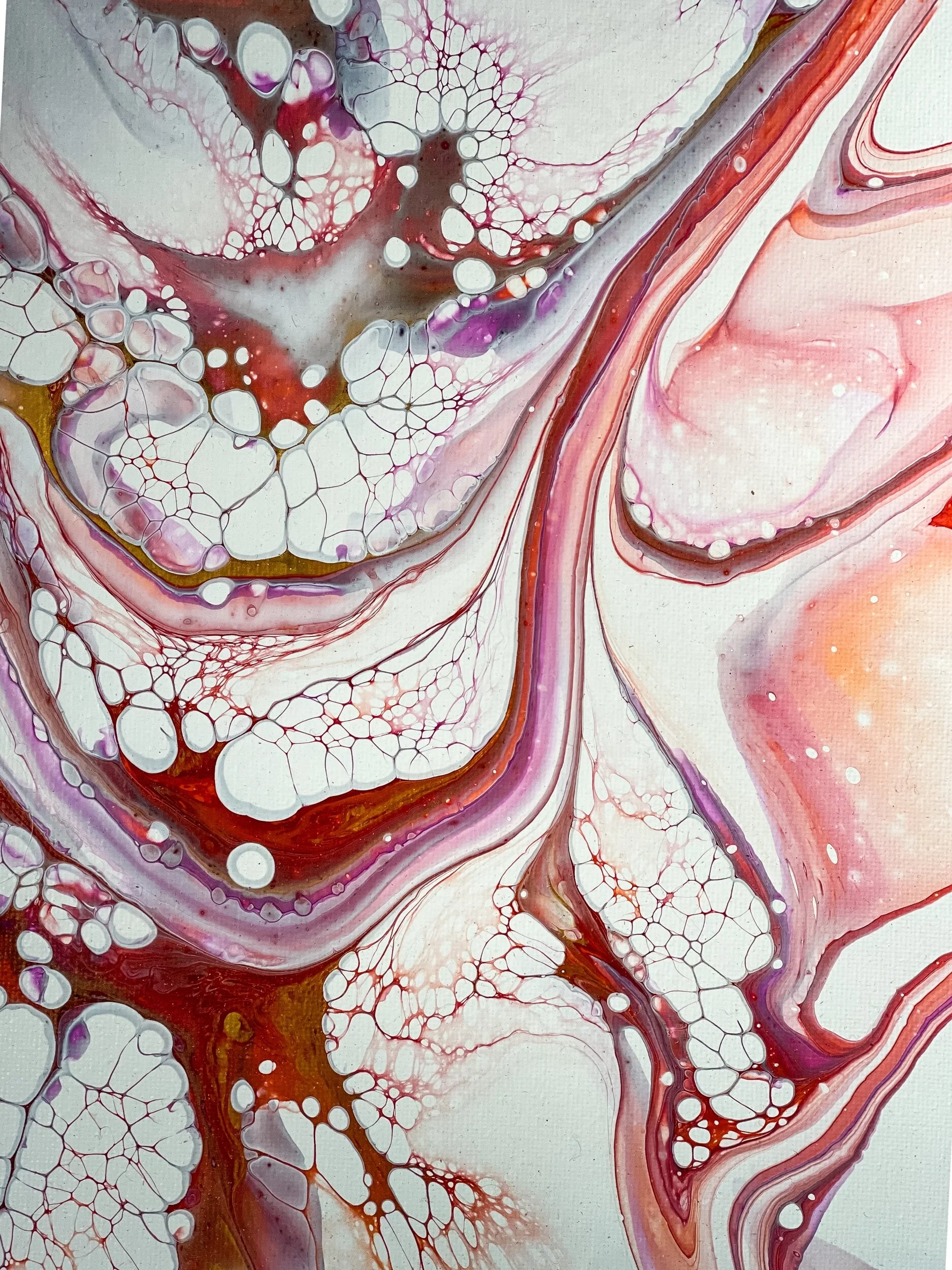 11623350-524A-40A0-925E-03567D9F1B6F