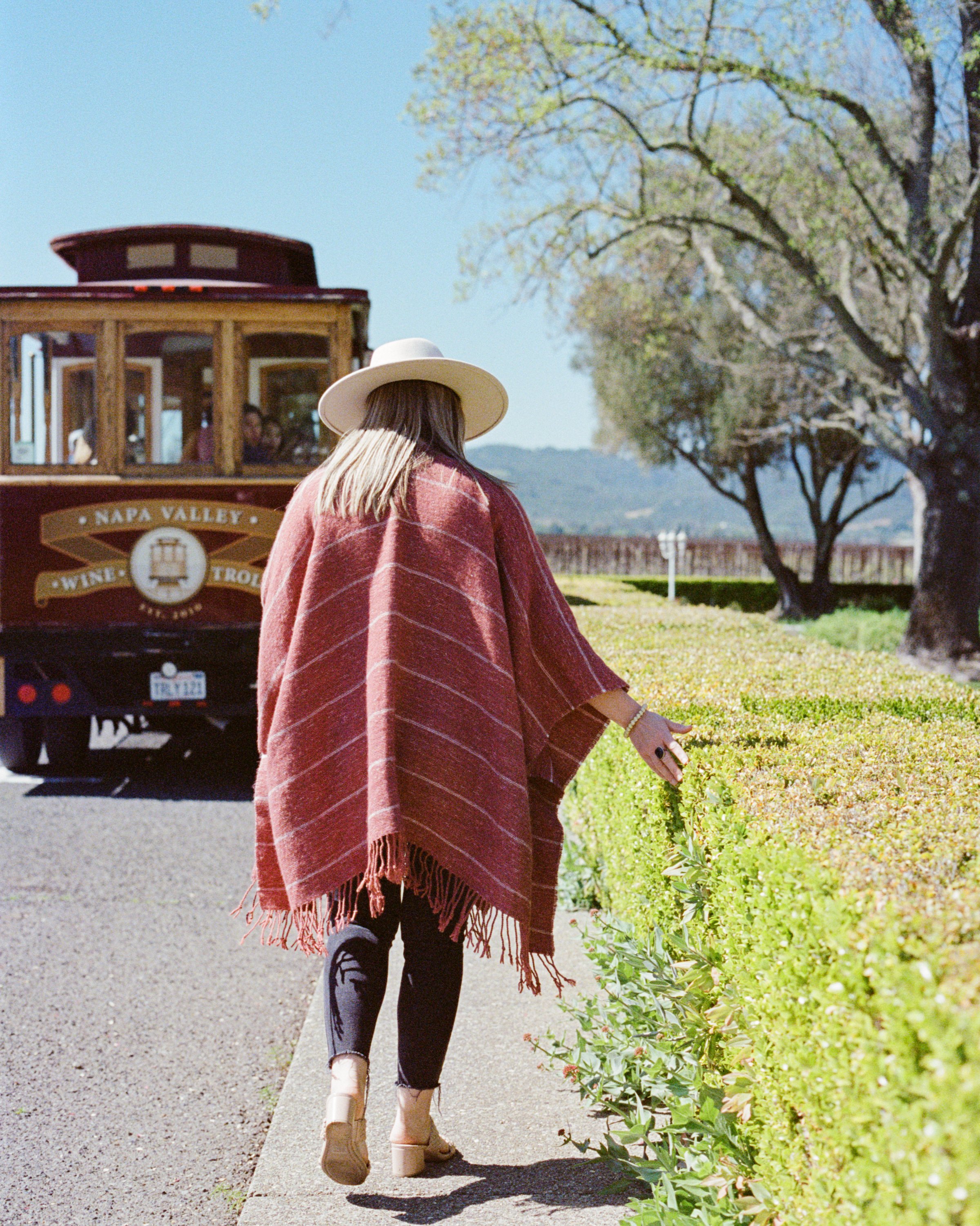 NapaSF0322-04-2.jpg