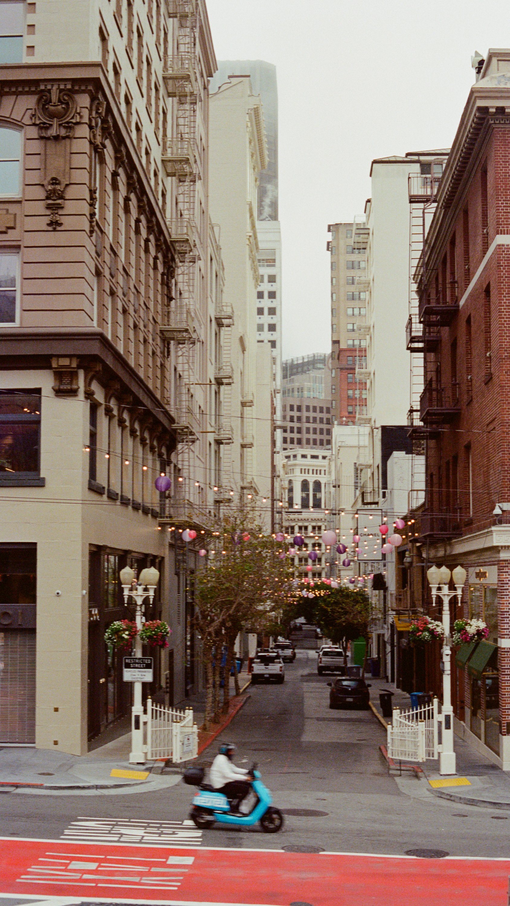 NapaSF0322-03.jpg