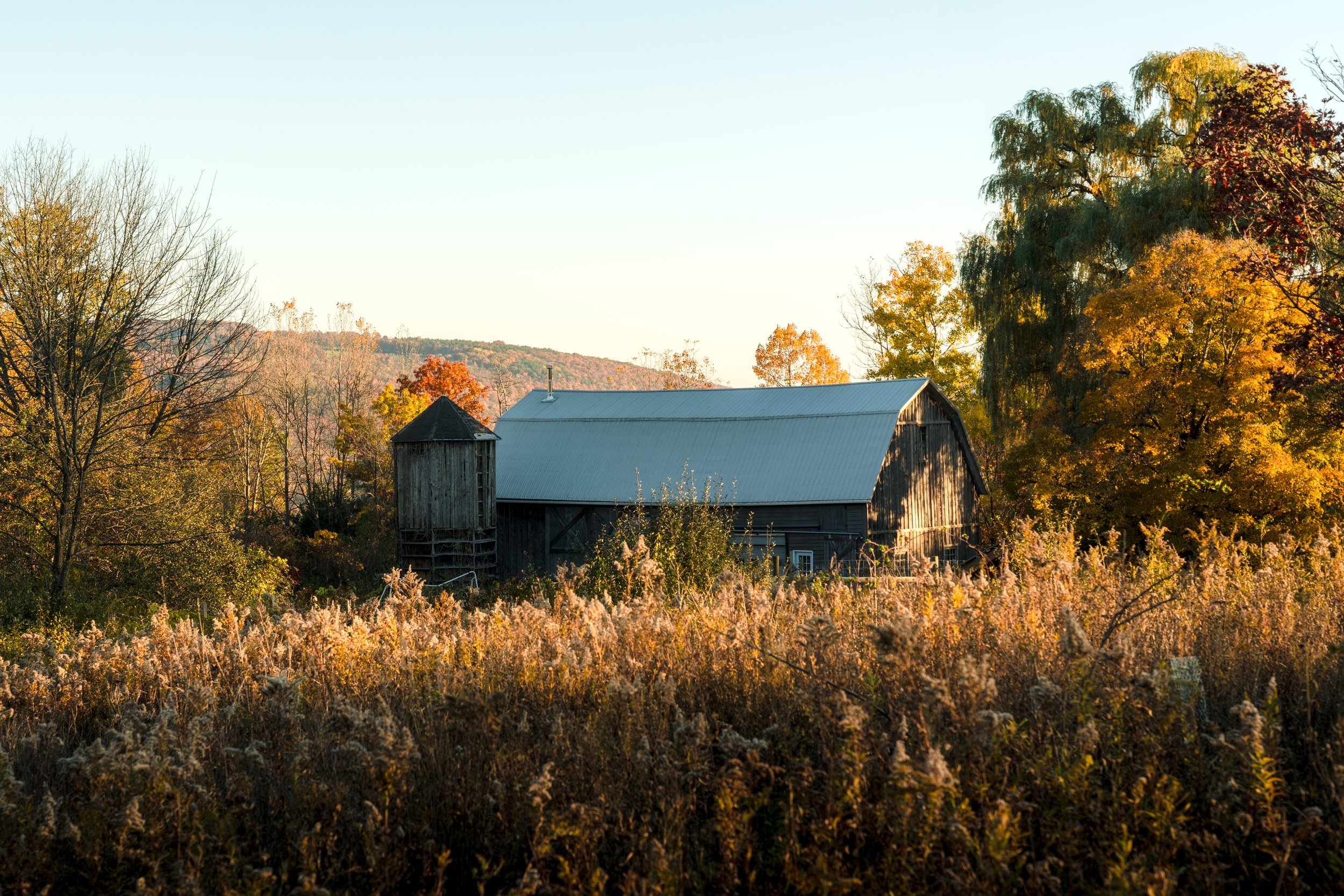 DSC00489-Edit.jpg