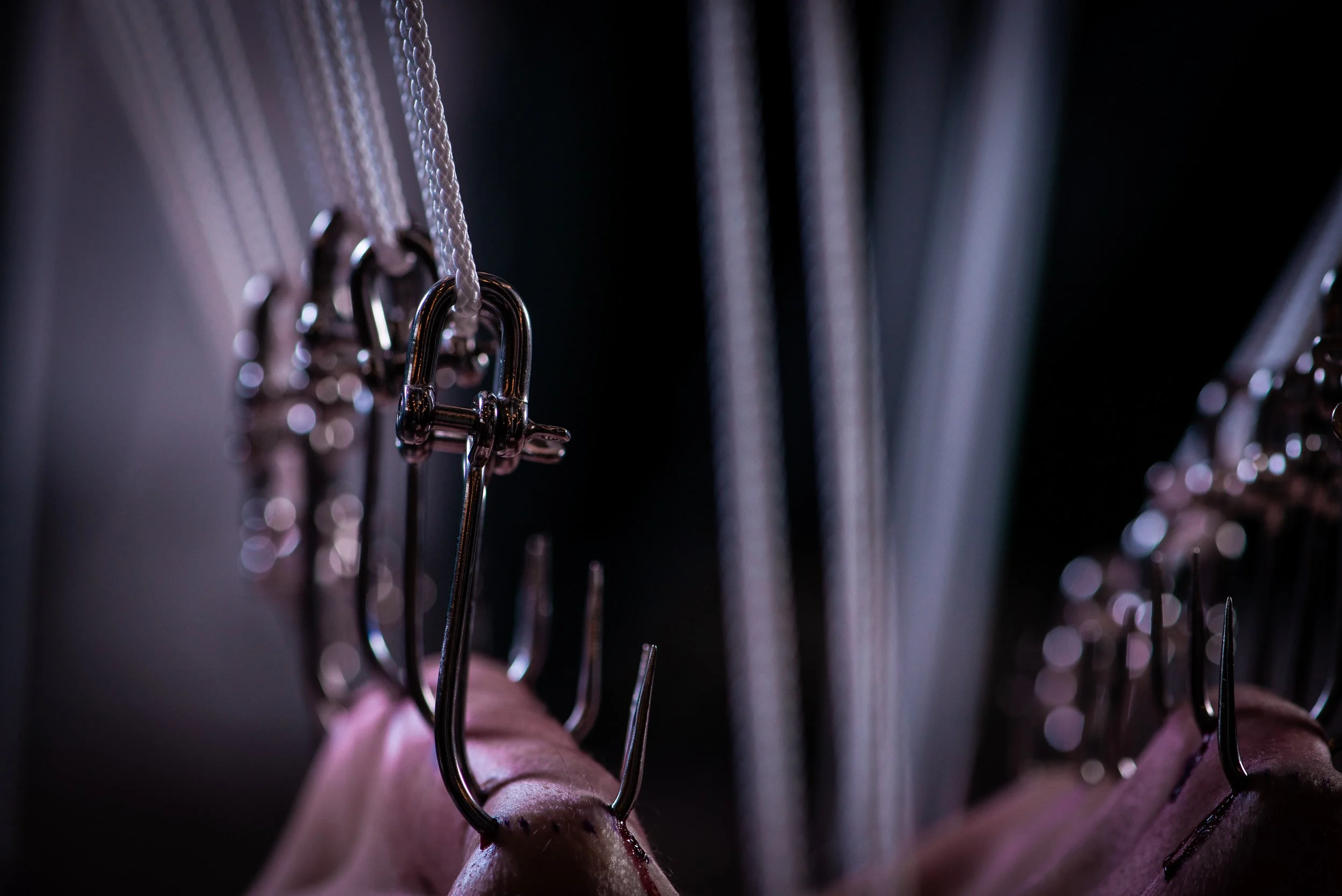 Dawson 40 for 40-1120.jpg