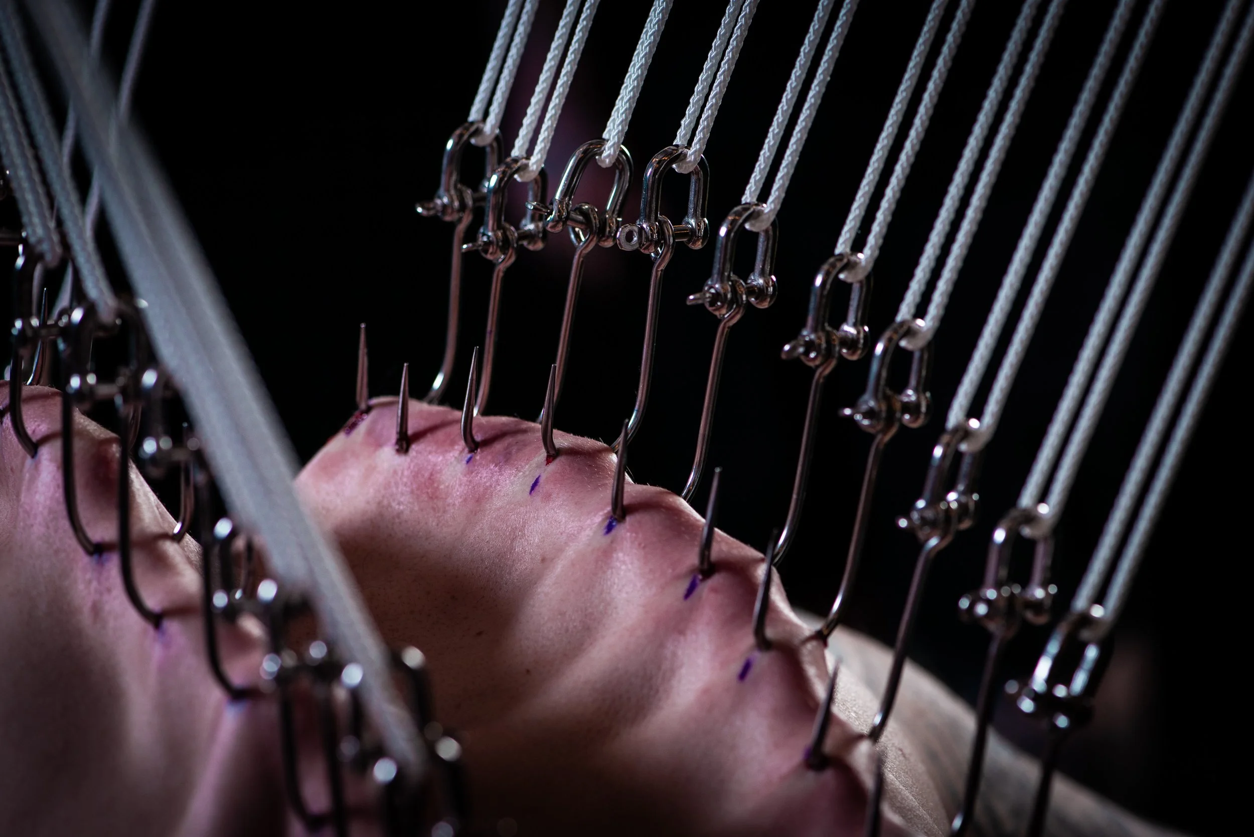 Dawson 40 for 40-1123.jpg