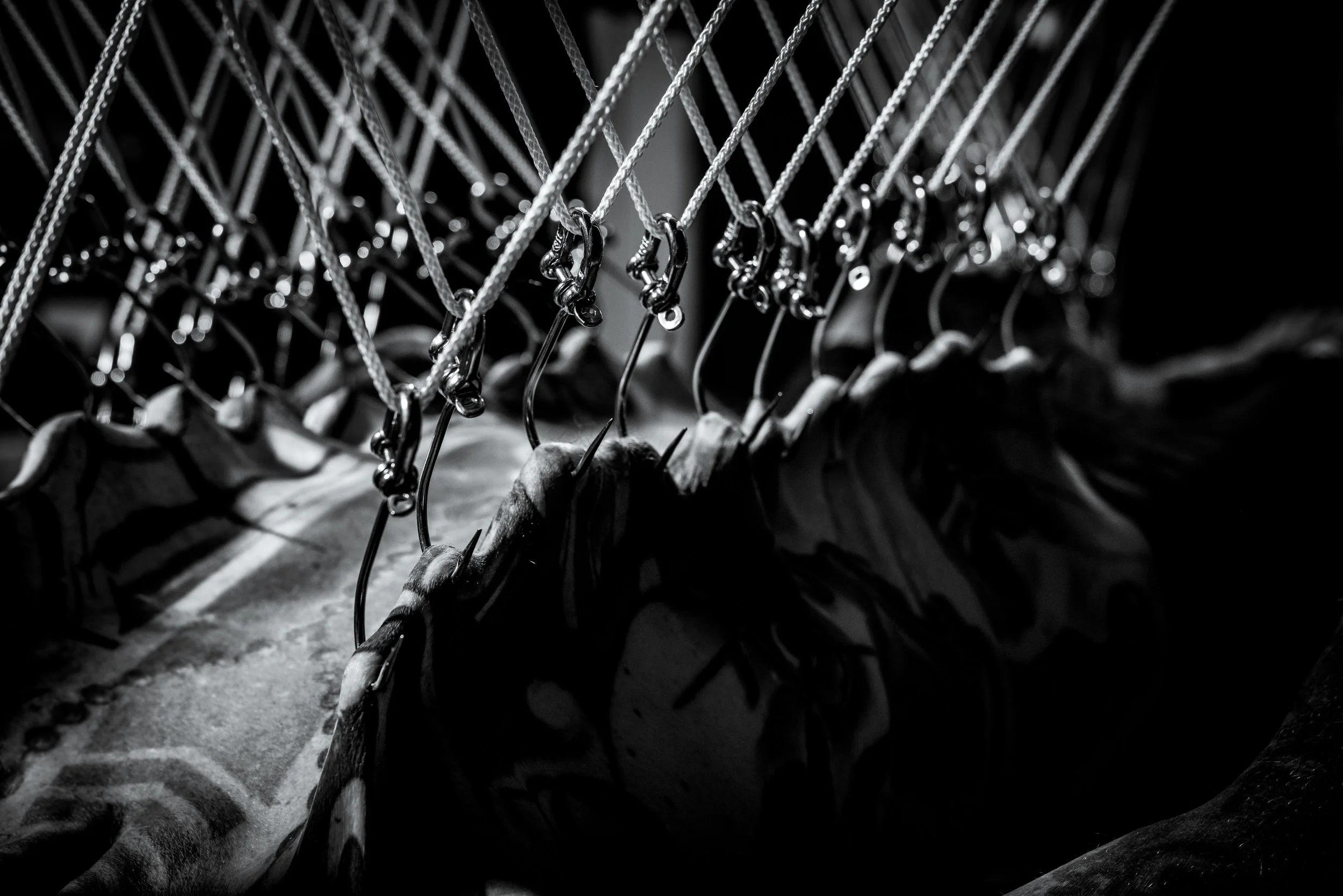 Clay 50 for 50-1072.jpg