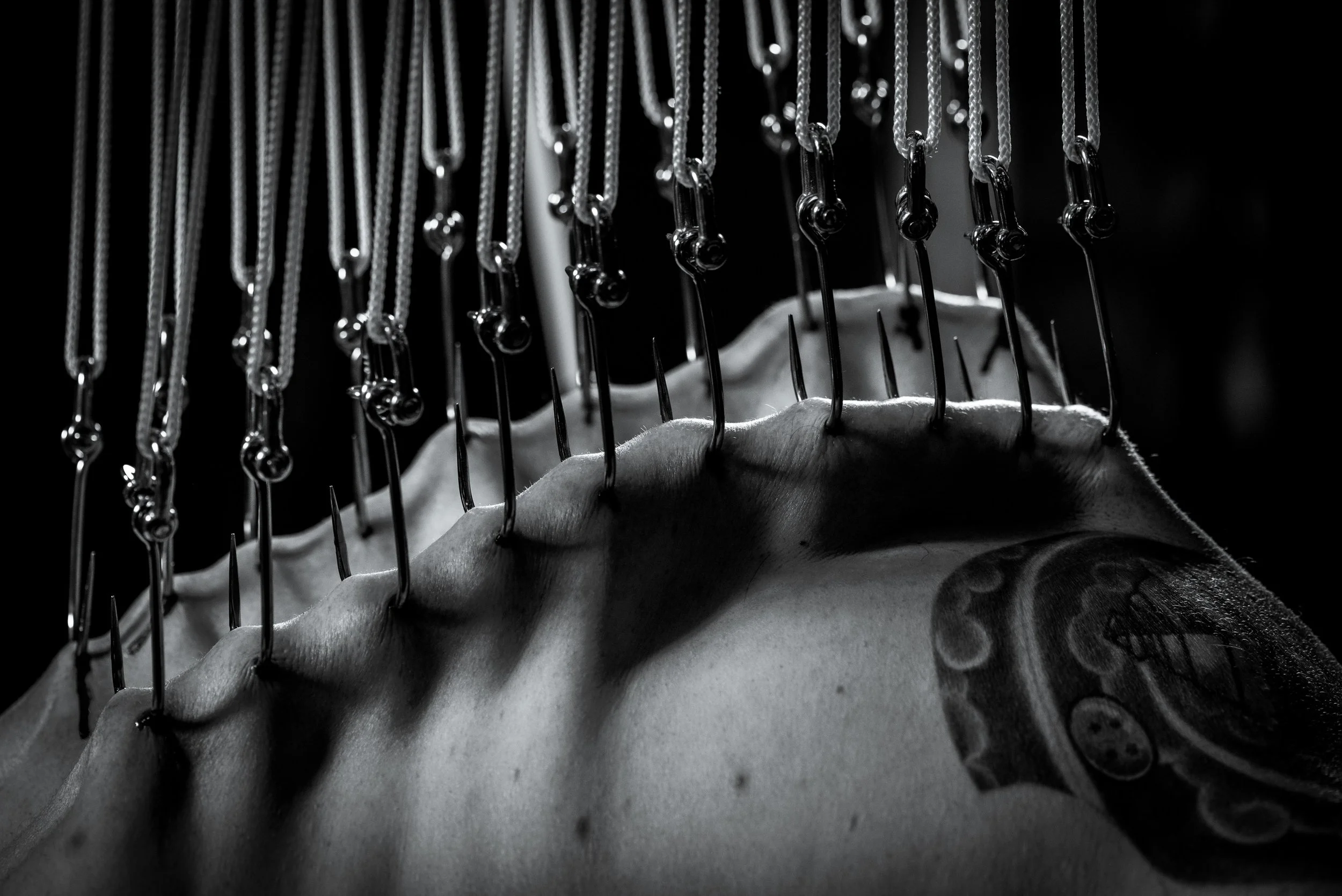 Dawson 40 for 40-1119.jpg