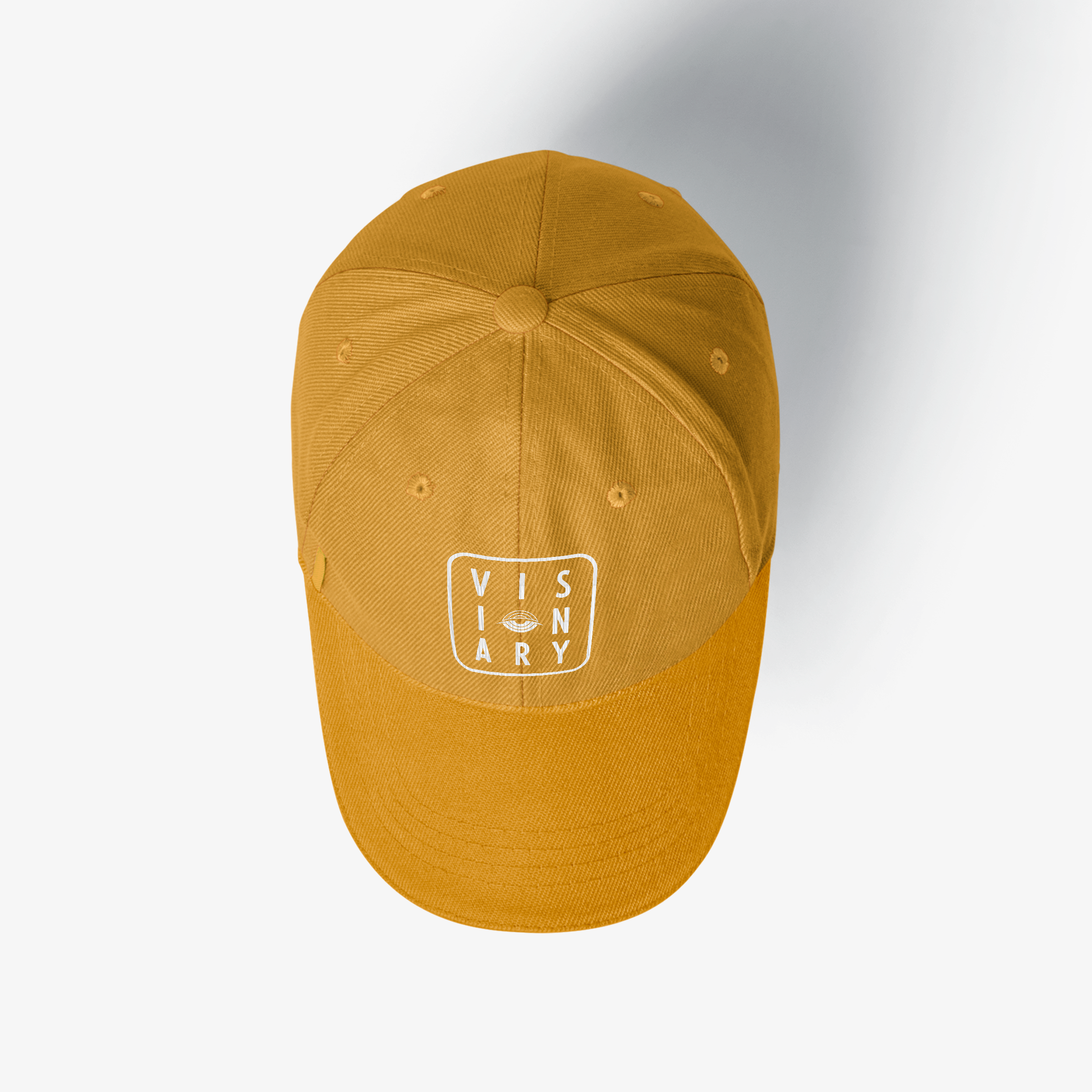 visionary_hat.png