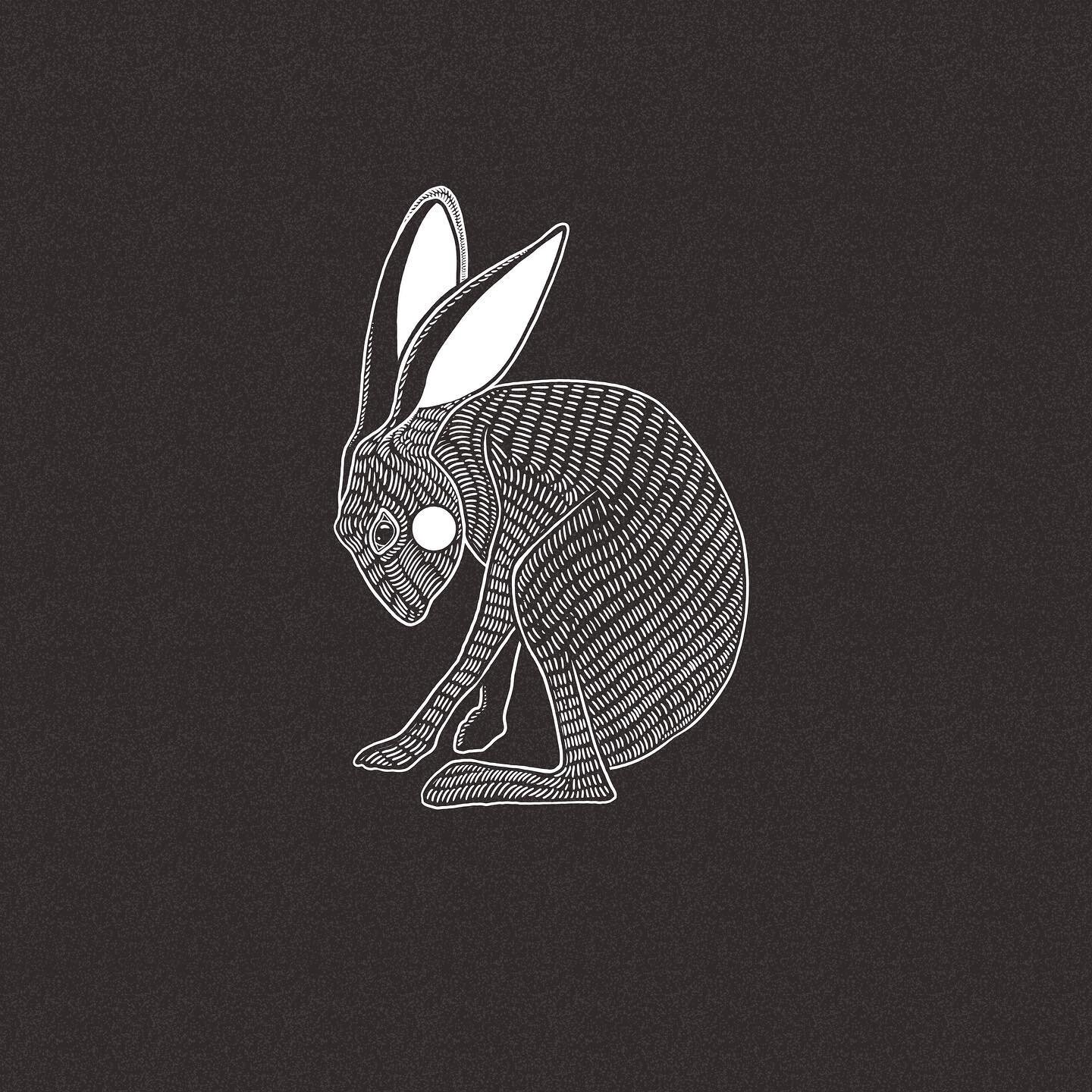 Good morning, world. I hope you love this hare as much as I do. ✨ #womenofillustration