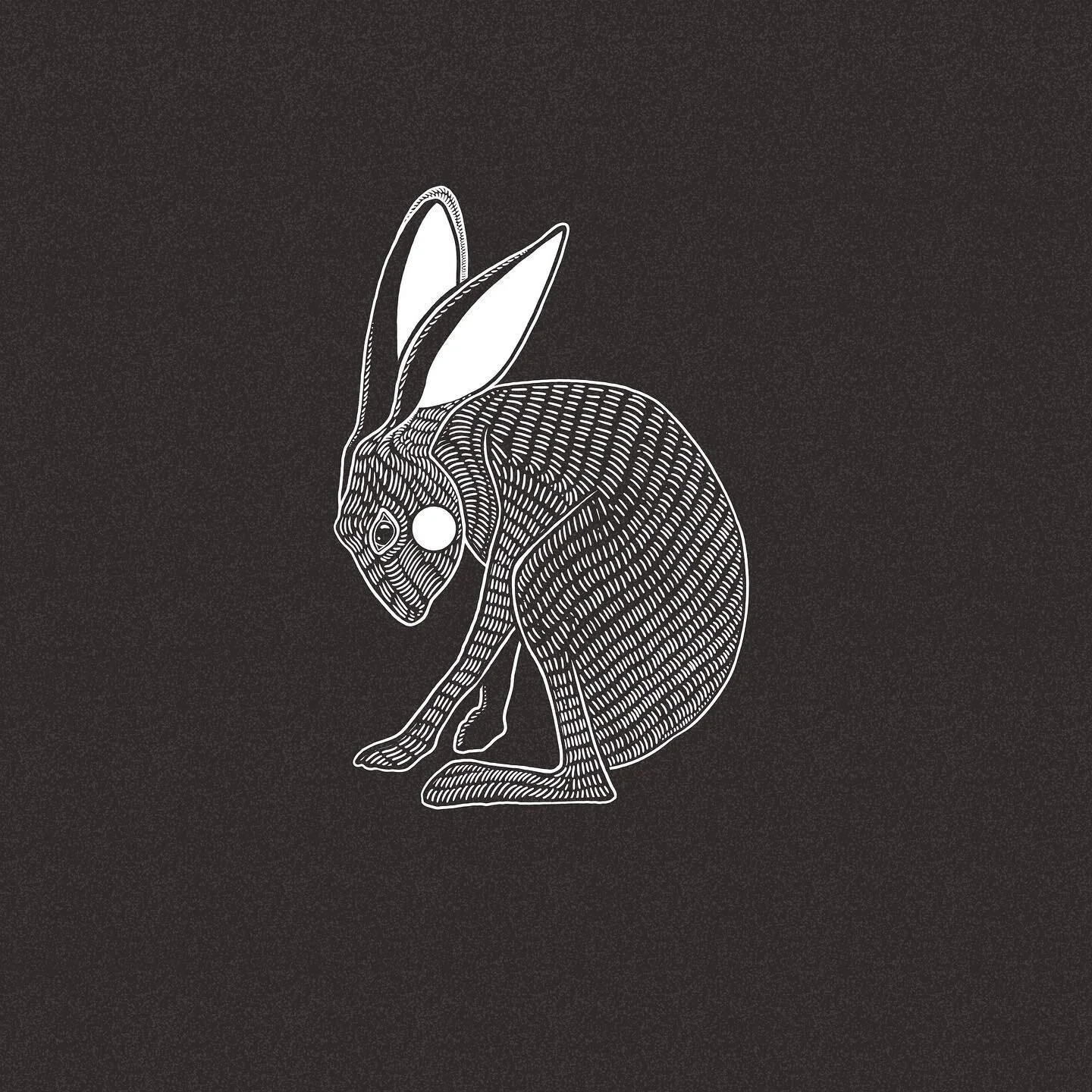 Good morning, world. I hope you love this hare as much as I do. β¨ #womenofillustration