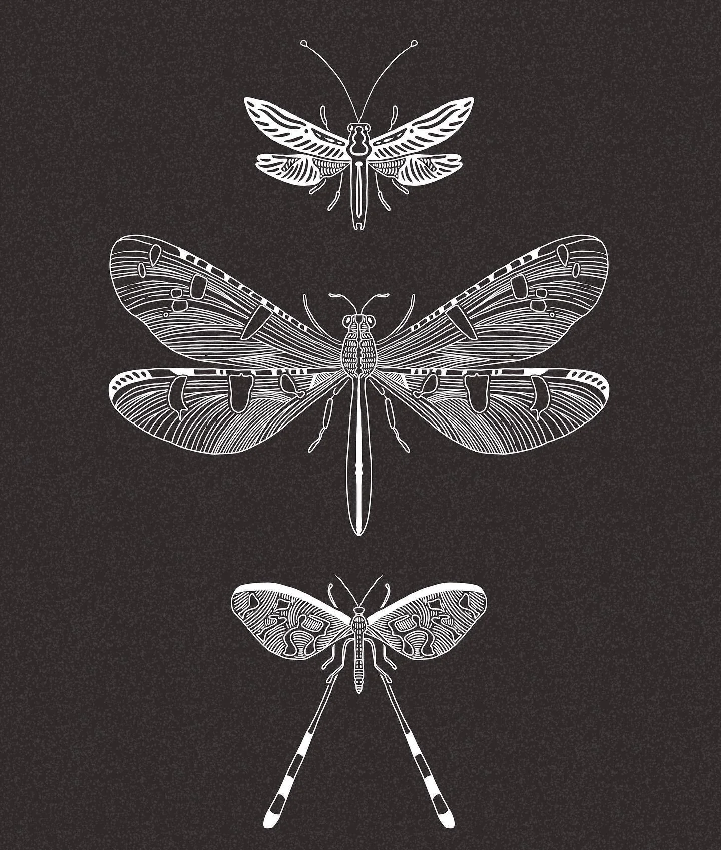 It’s summer in the country and I lay on a hammock by the pond - a dragonfly lands on my arm. I’ve never known a simpler magic. 
β¨
While I’m very happy for this winter weather we’ve been having, I’m feeling nostalgic for