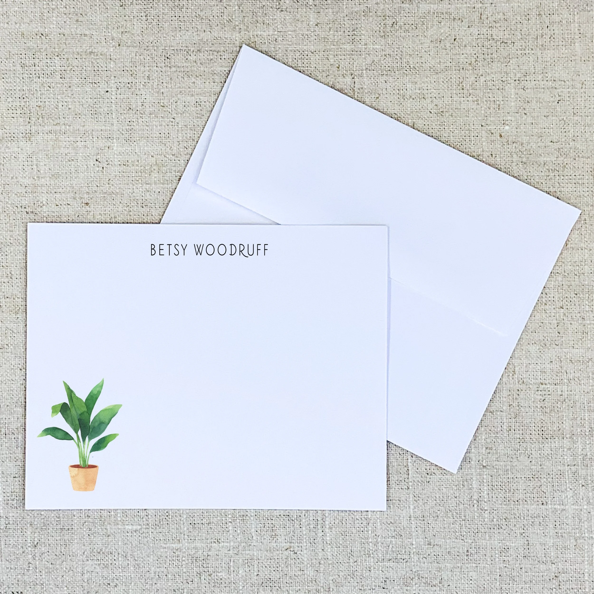 Flat Panel 1121 Potted Plant